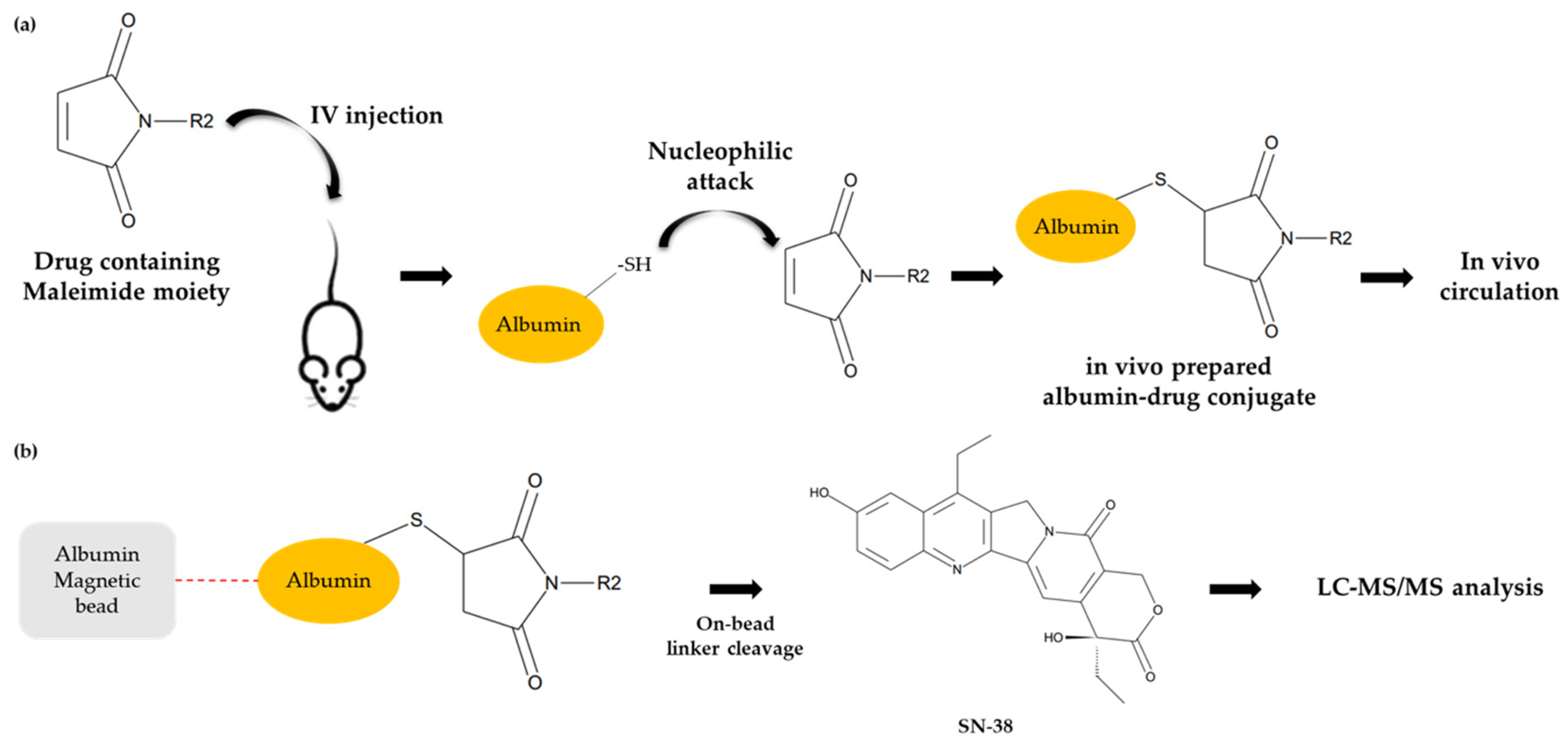 Molecules 28 03223 g003