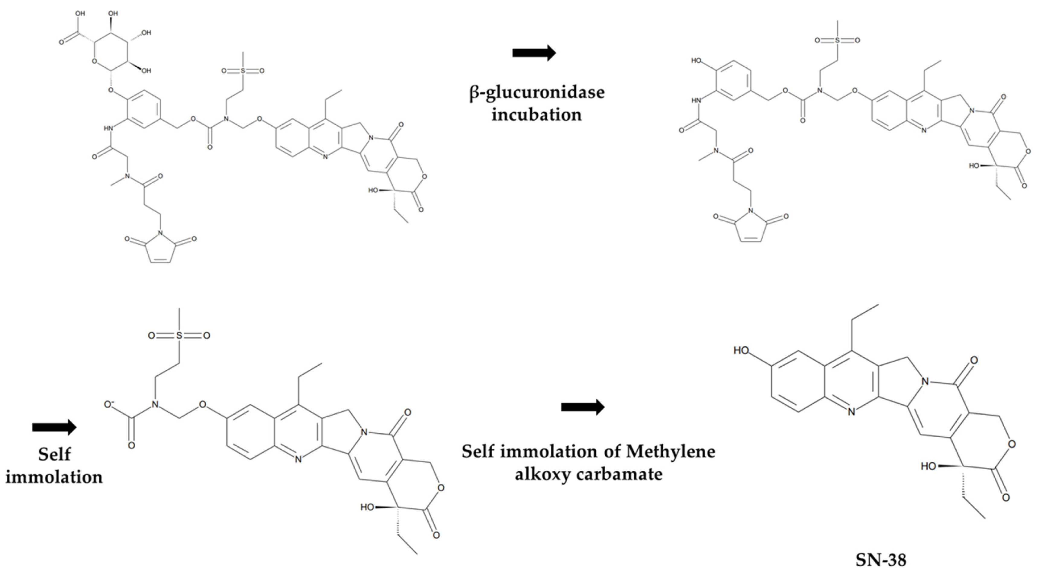 Molecules 28 03223 g009