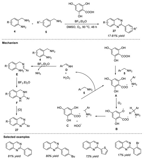 Recent Advances in the Transition-Metal-Free Synthesis of Quinazolines