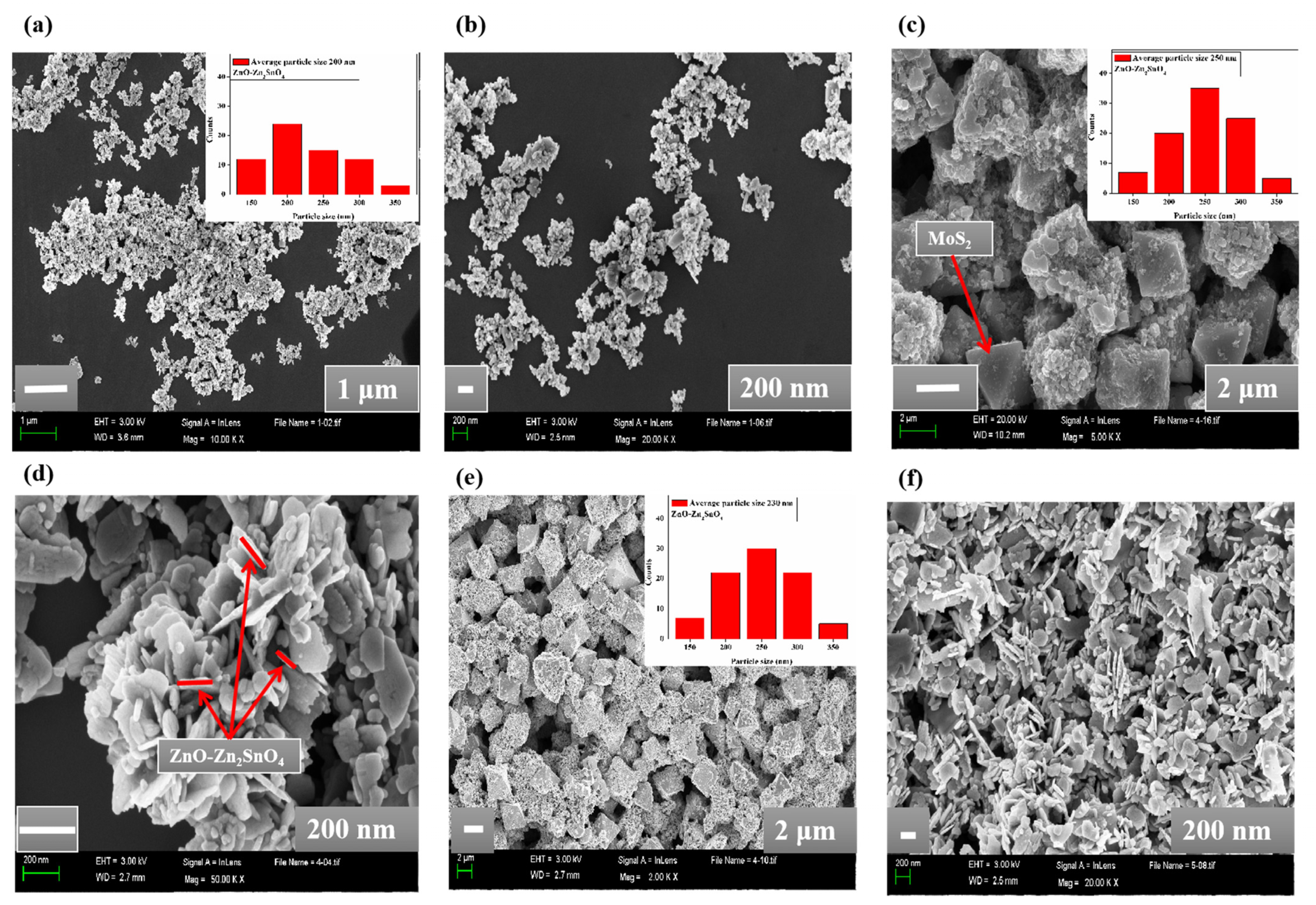 Molecules 28 03230 g002