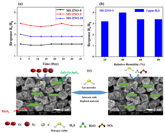 pi-ch様 Nanostructured metal oxide heterojunctions for