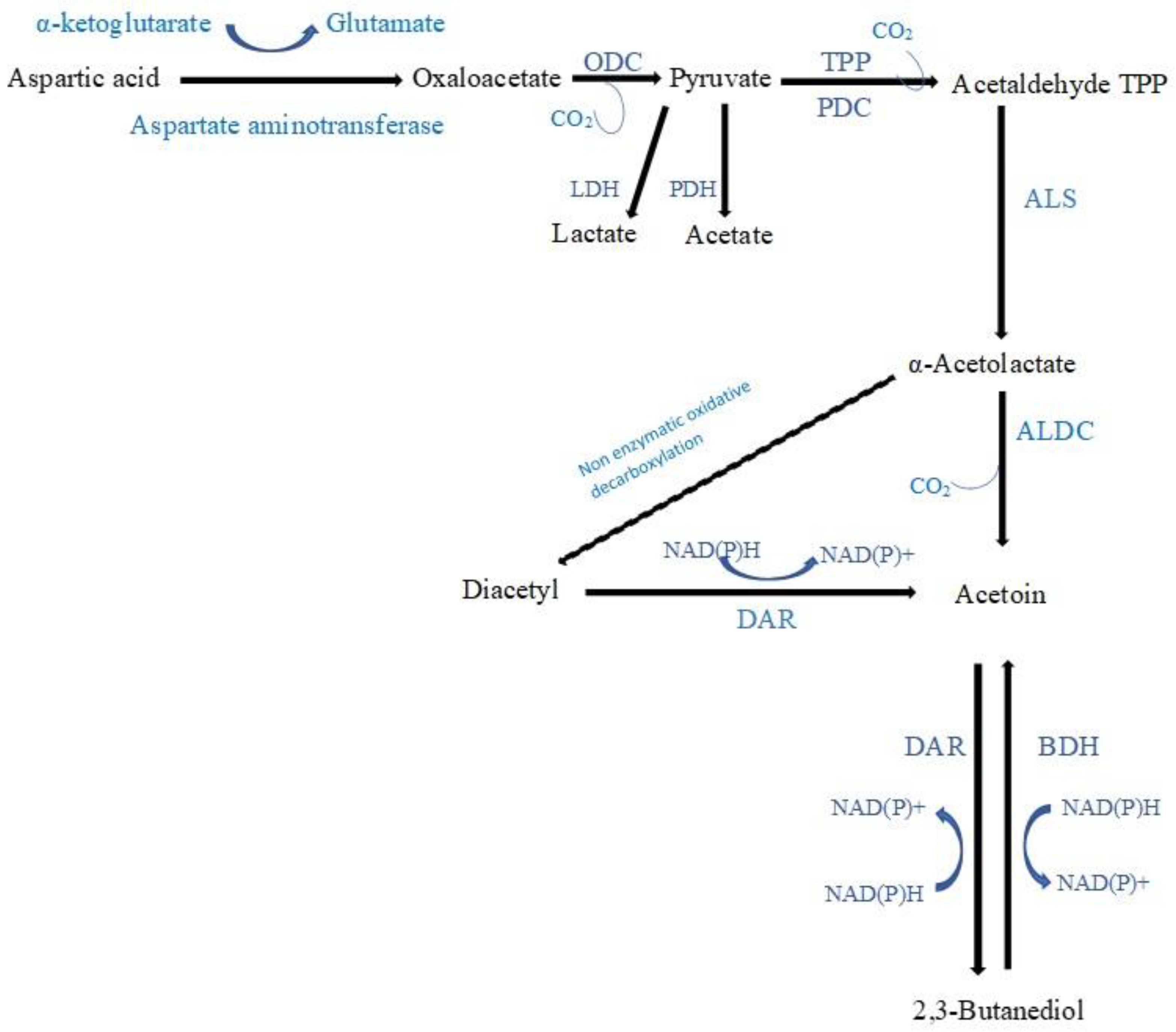 Molecules 28 03236 g004