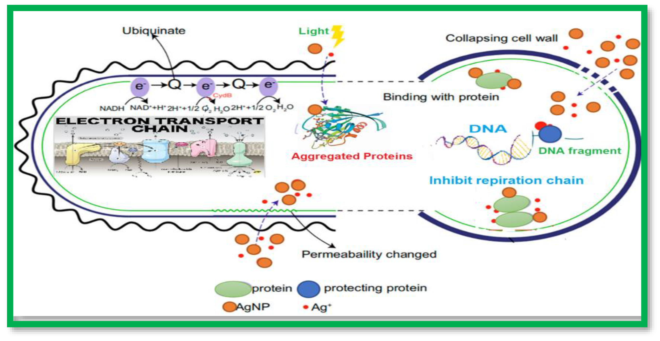 Molecules 28 03241 g001 Molecules 28 03241 g001