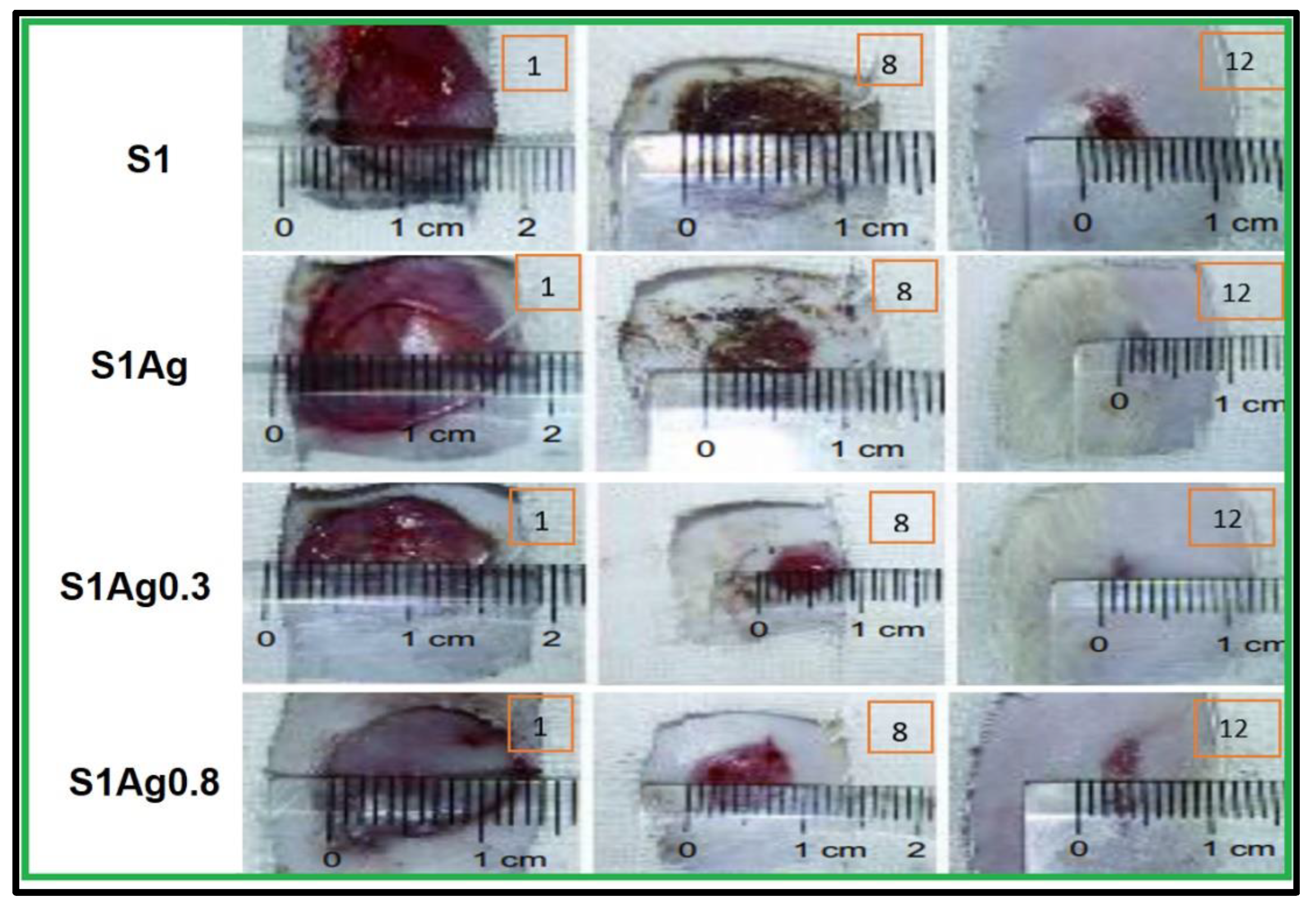Molecules 28 03241 g006 Molecules 28 03241 g006