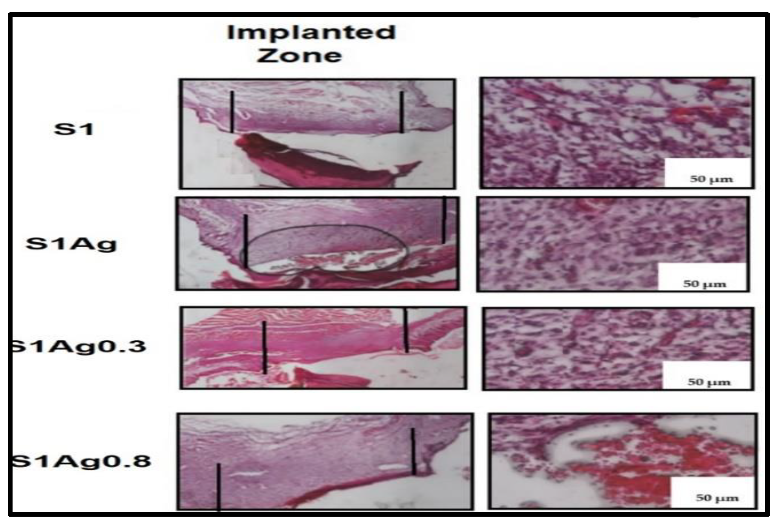 Molecules 28 03241 g008 Molecules 28 03241 g008