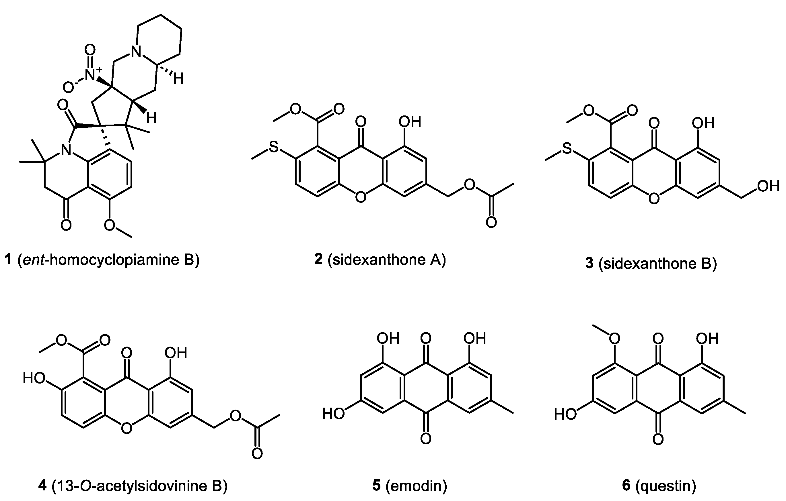Molecules 28 03246 g003 Molecules 28 03246 g003