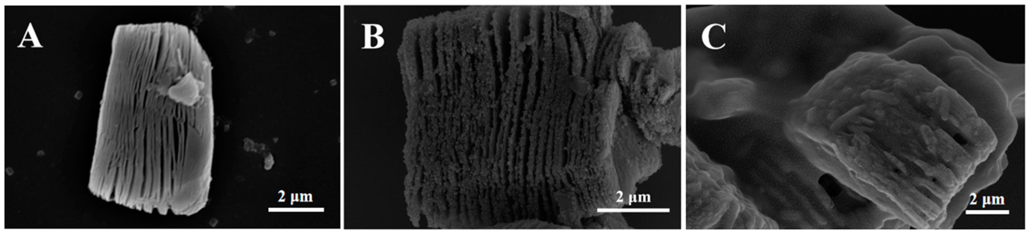 Molecules 28 03262 g001 550
