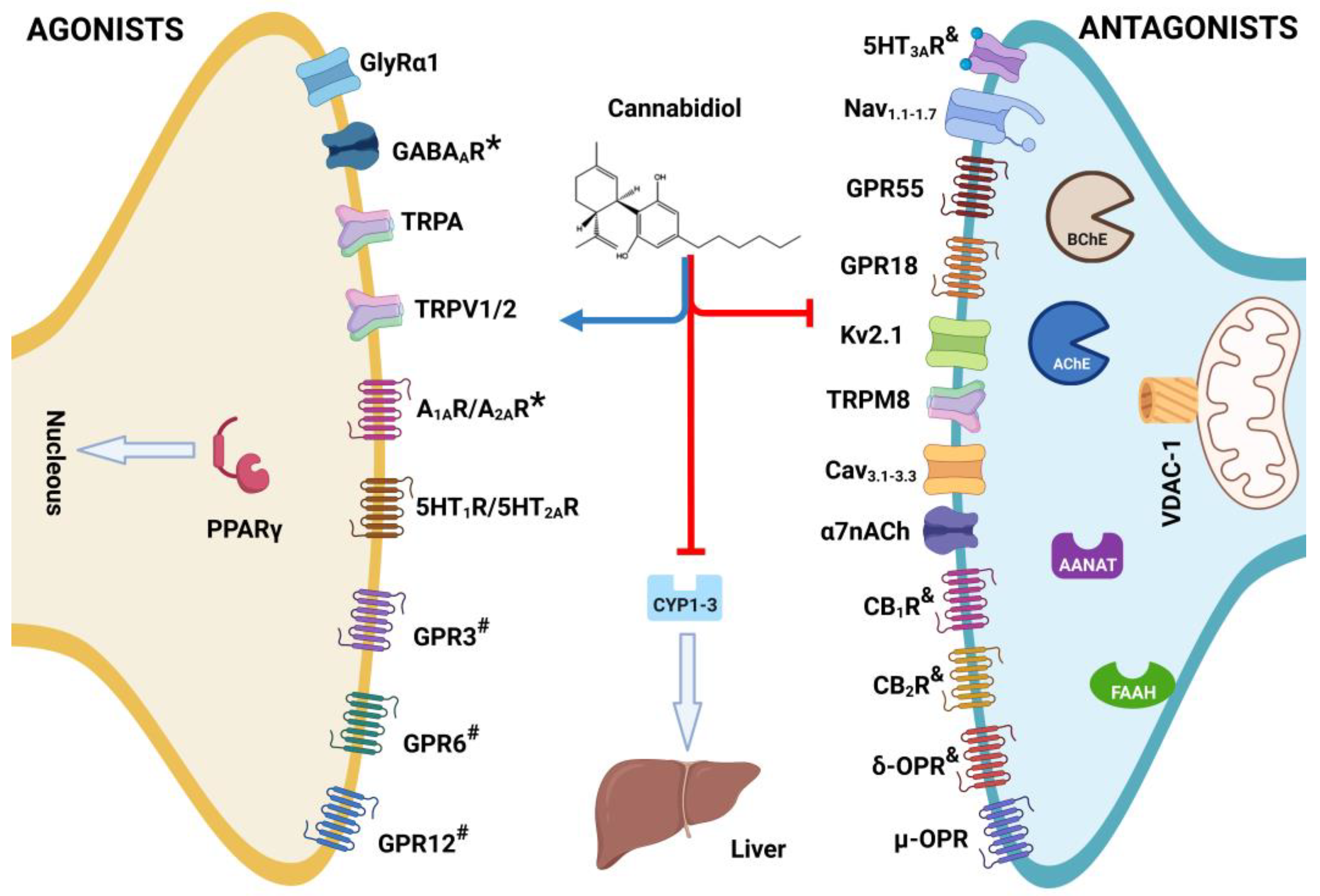 Molecules 28 03271 g003