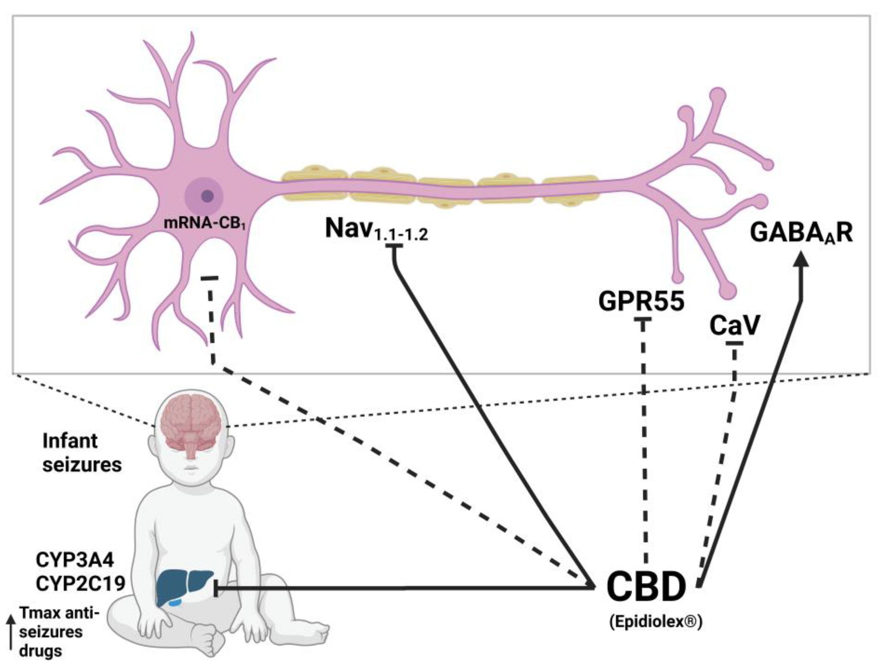 Molecules 28 03271 g004