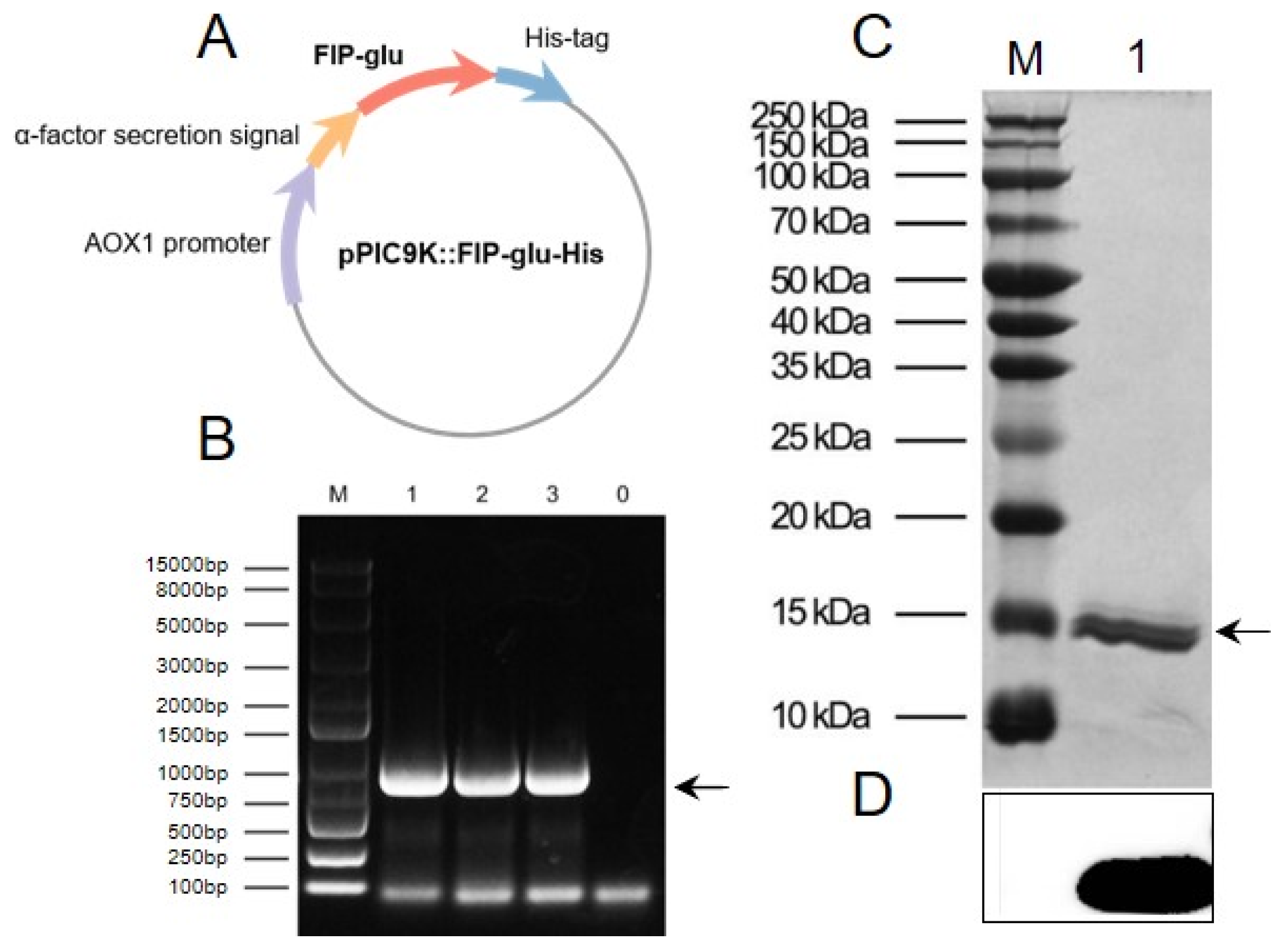 Molecules 28 03272 g001 Molecules 28 03272 g001