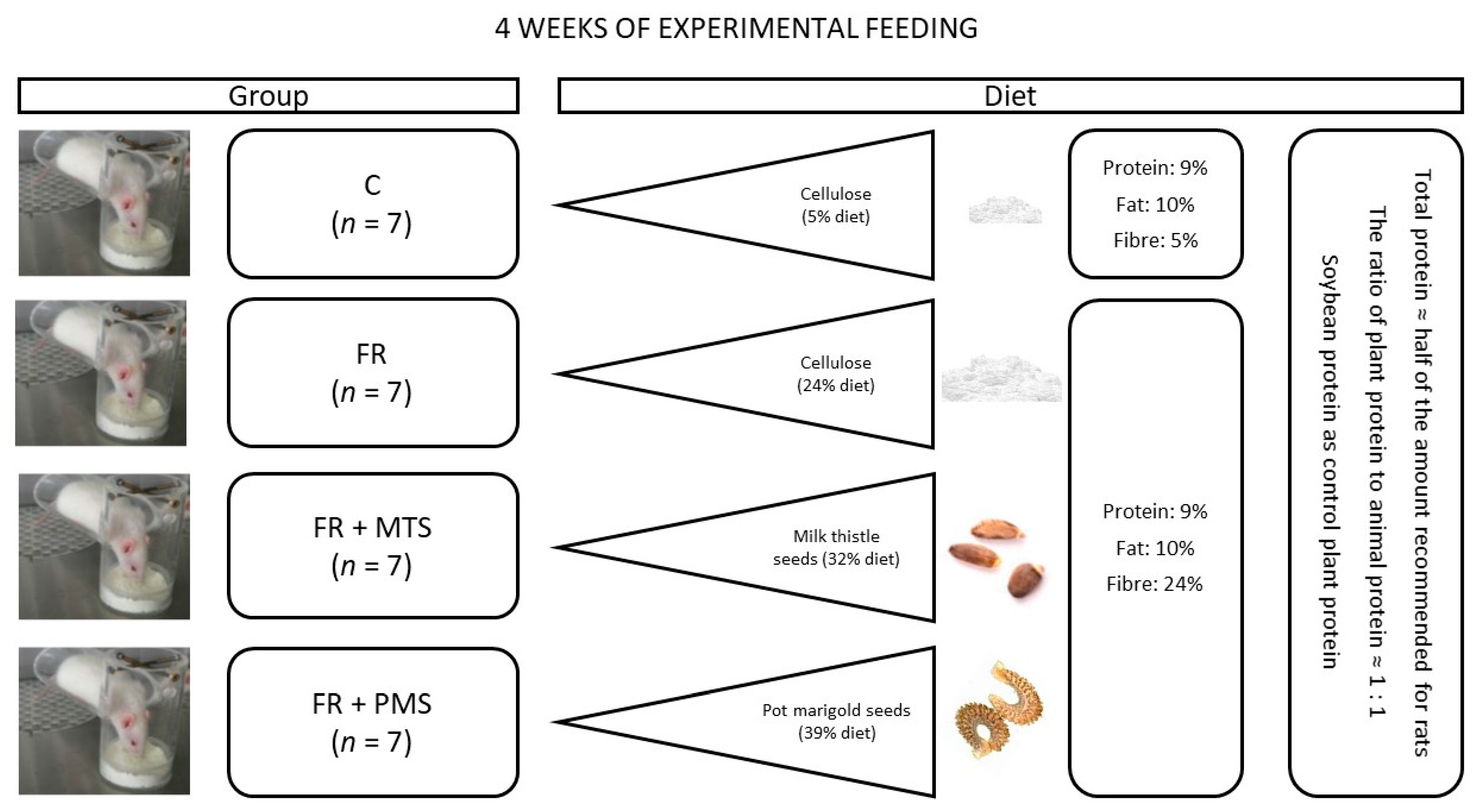 Molecules 28 03275 g001 Molecules 28 03275 g001
