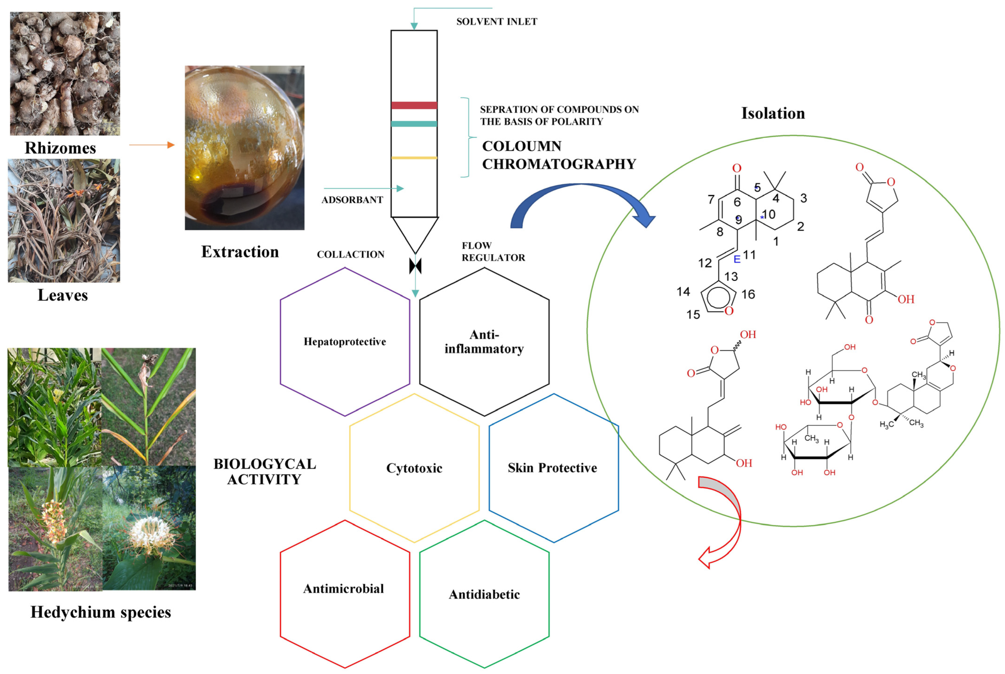 Molecules 28 03278 g001