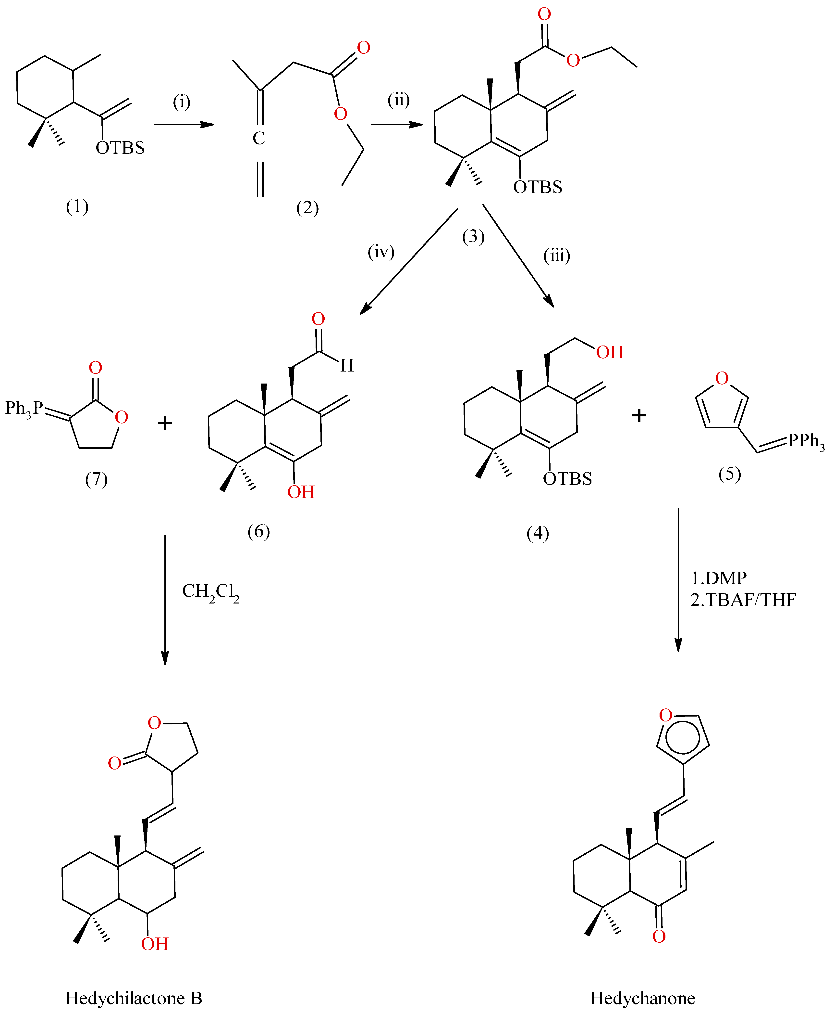Molecules 28 03278 g006