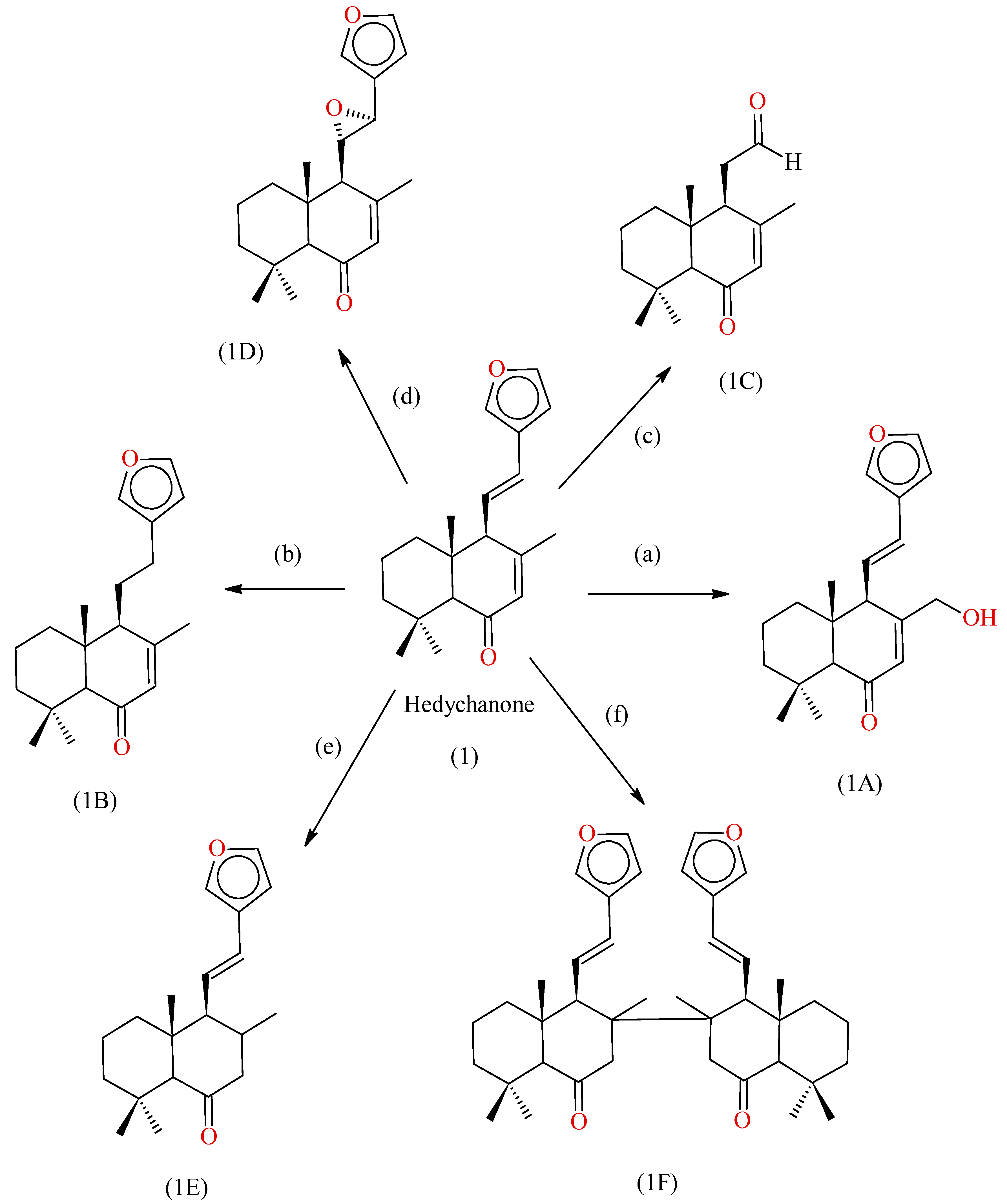 Molecules 28 03278 g007