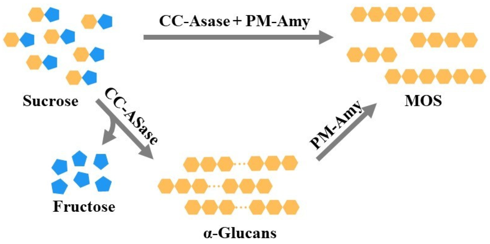 Molecules 28 03281 g006 Molecules 28 03281 g006