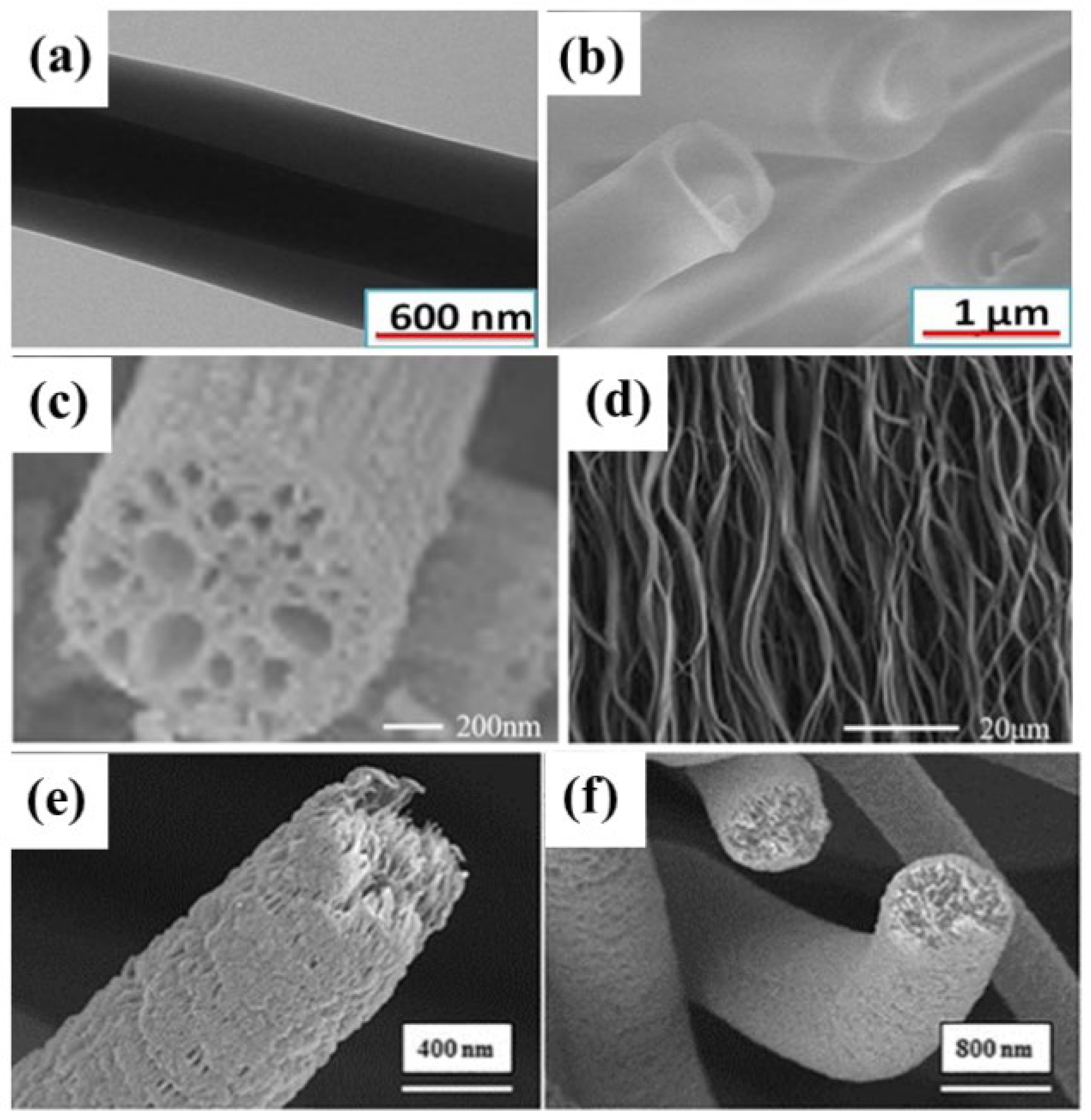 Molecules 28 03288 g004