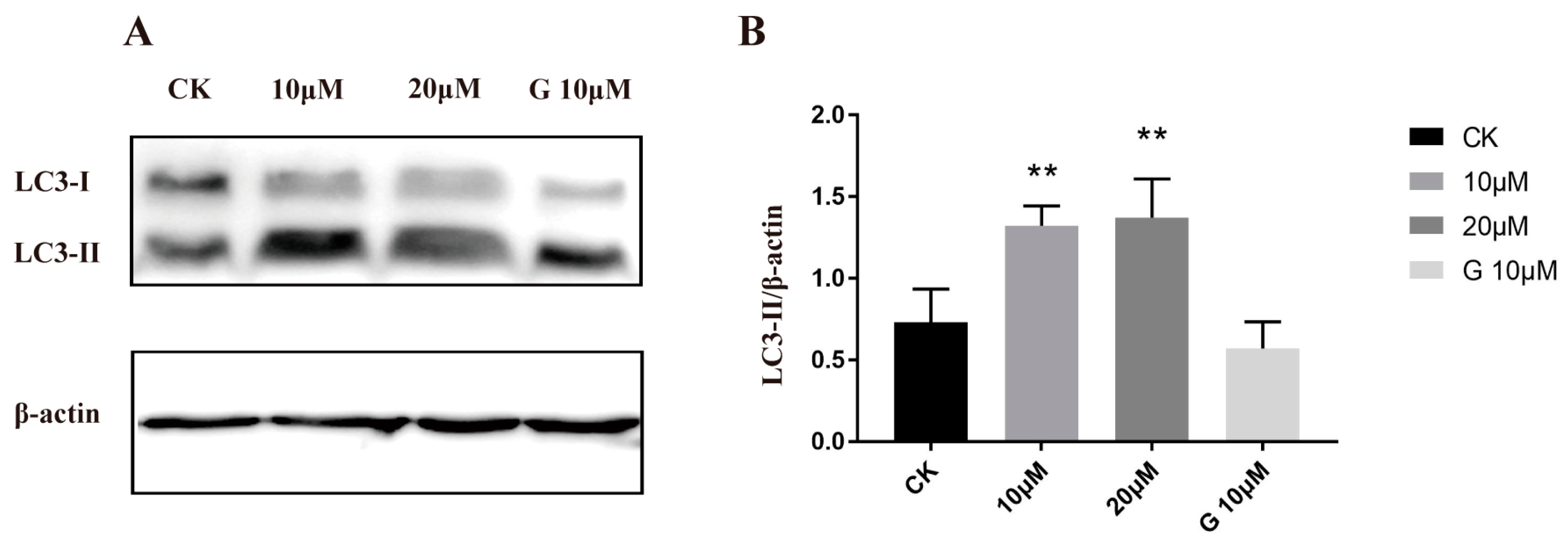 Molecules 28 03289 g007