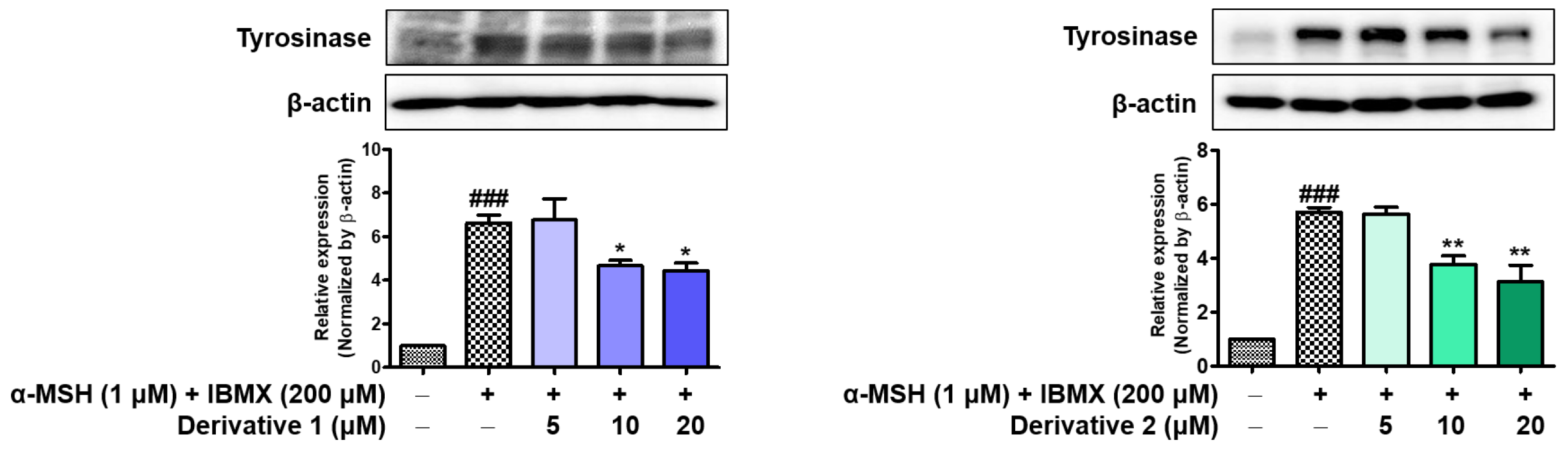 Molecules 28 03293 g013 Molecules 28 03293 g013