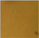 Molecules 28 03299 i007