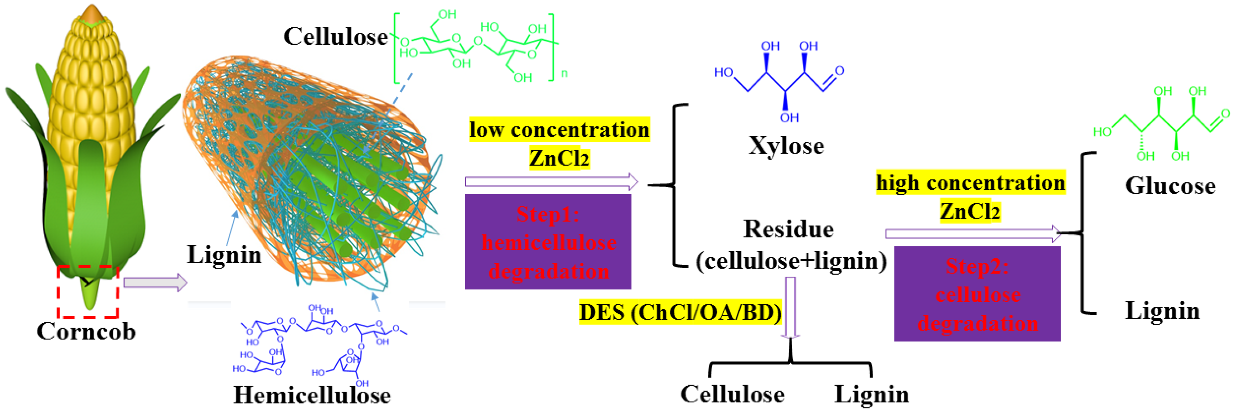 Molecules 28 03306 sch001 Molecules 28 03306 sch001