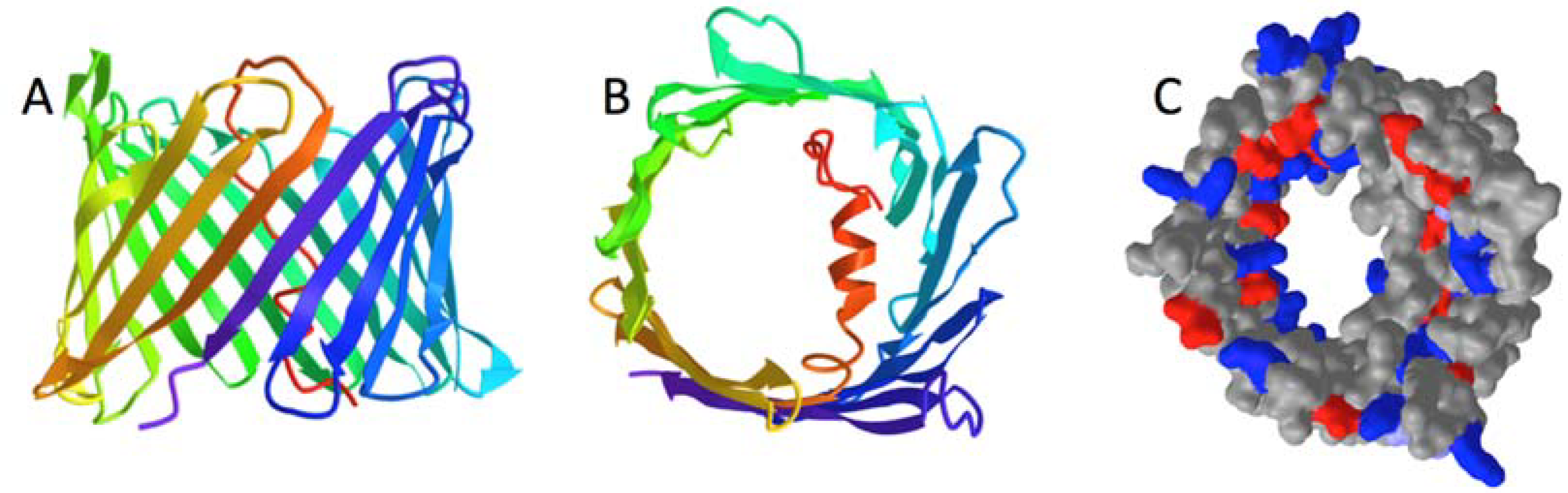 Molecules 28 03309 g001
