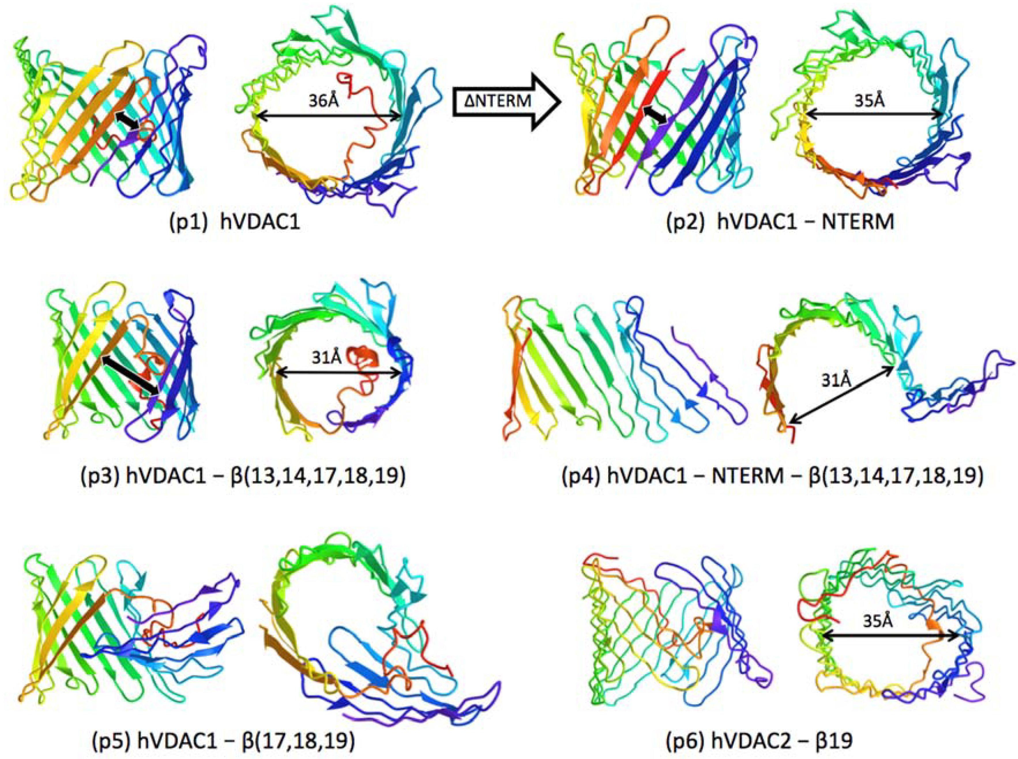 Molecules 28 03309 g002