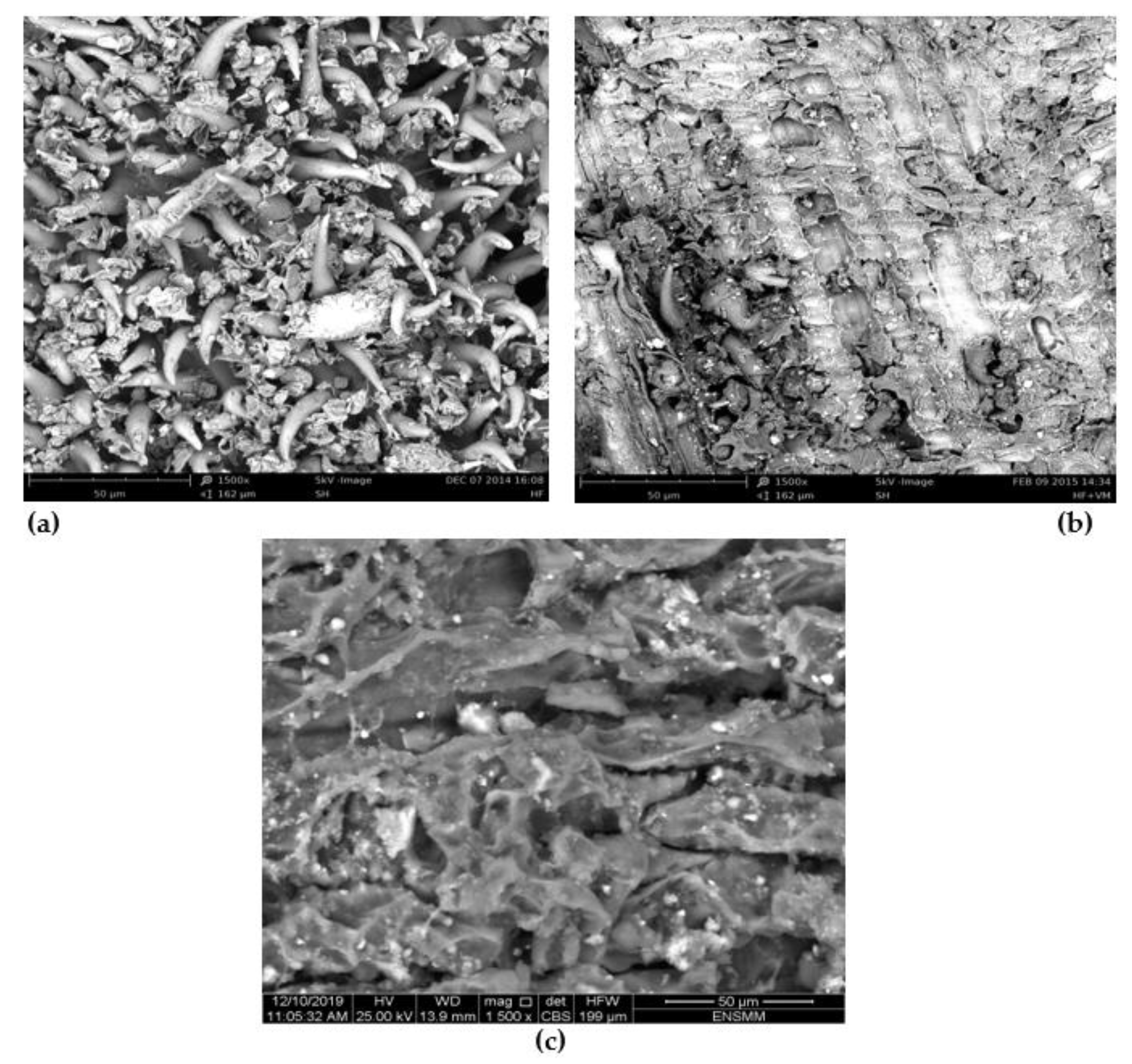 Molecules 28 03313 g002 Molecules 28 03313 g002