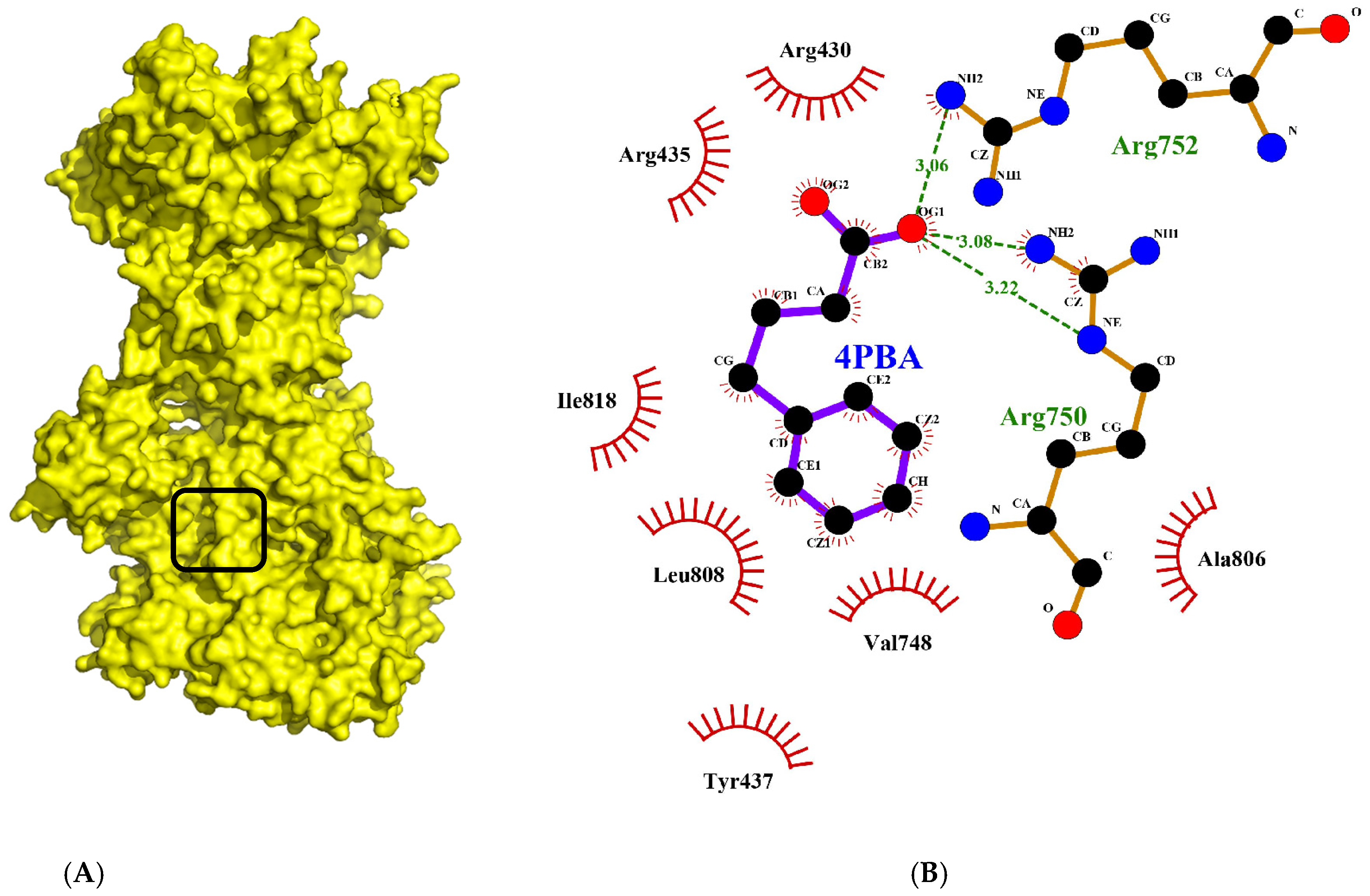 Molecules 28 03317 g002