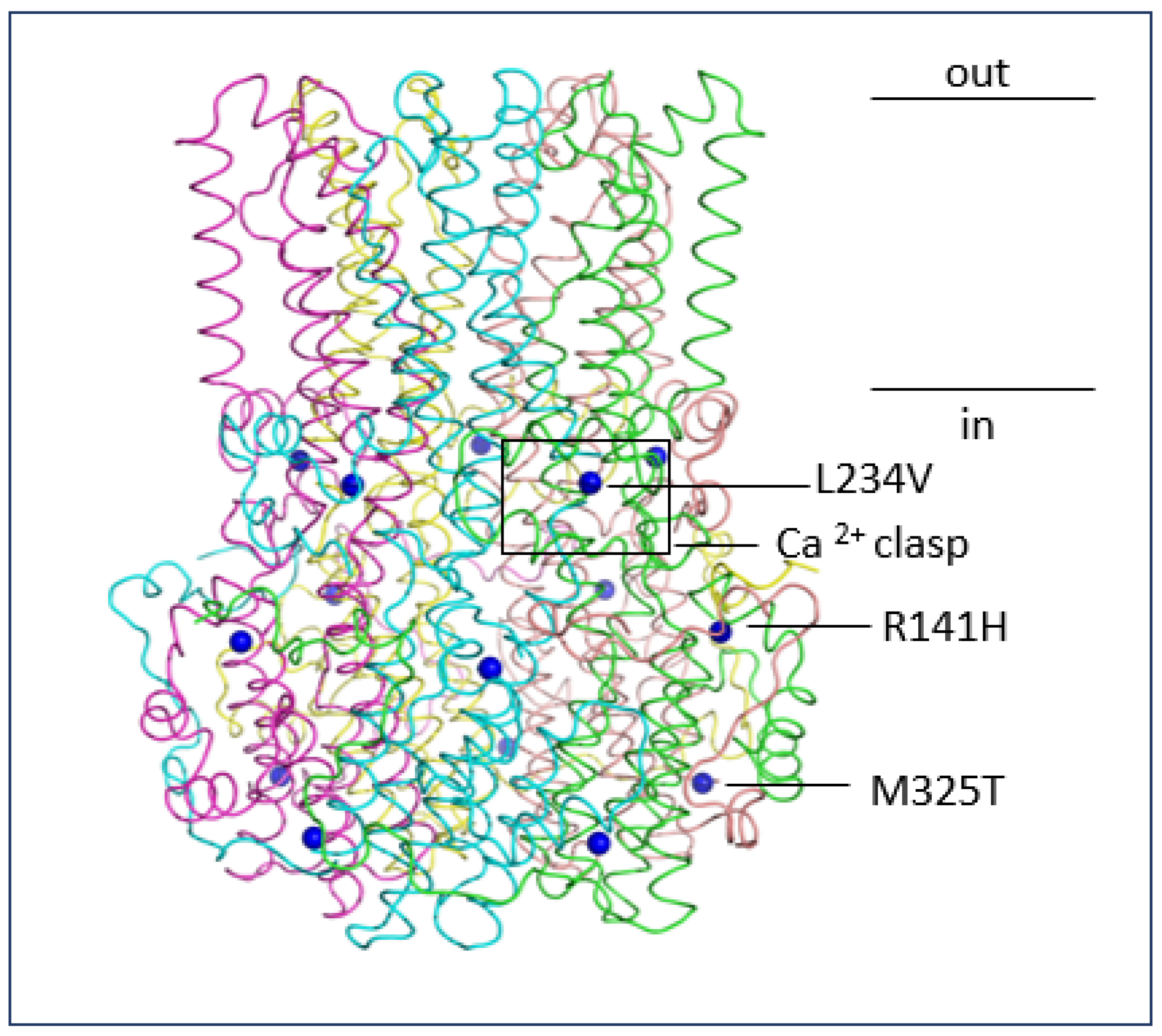Molecules 28 03317 g006