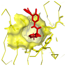 Molecules 28 03317 i002