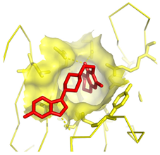 Molecules 28 03317 i004