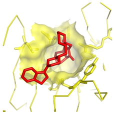 Molecules 28 03317 i006