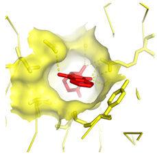 Molecules 28 03317 i008