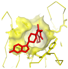 Molecules 28 03317 i012