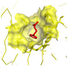 Molecules 28 03317 i014