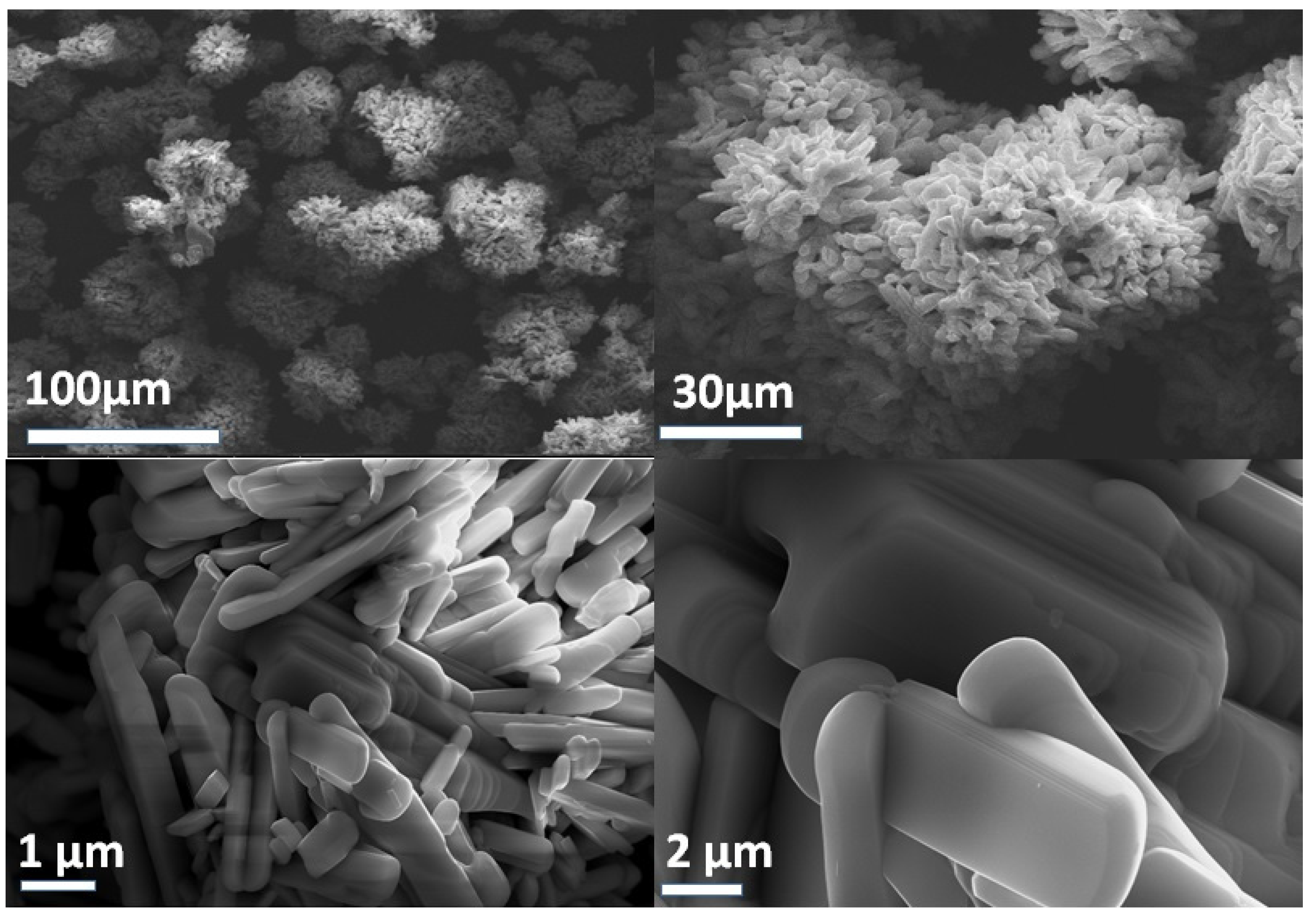 Molecules 28 03319 g002