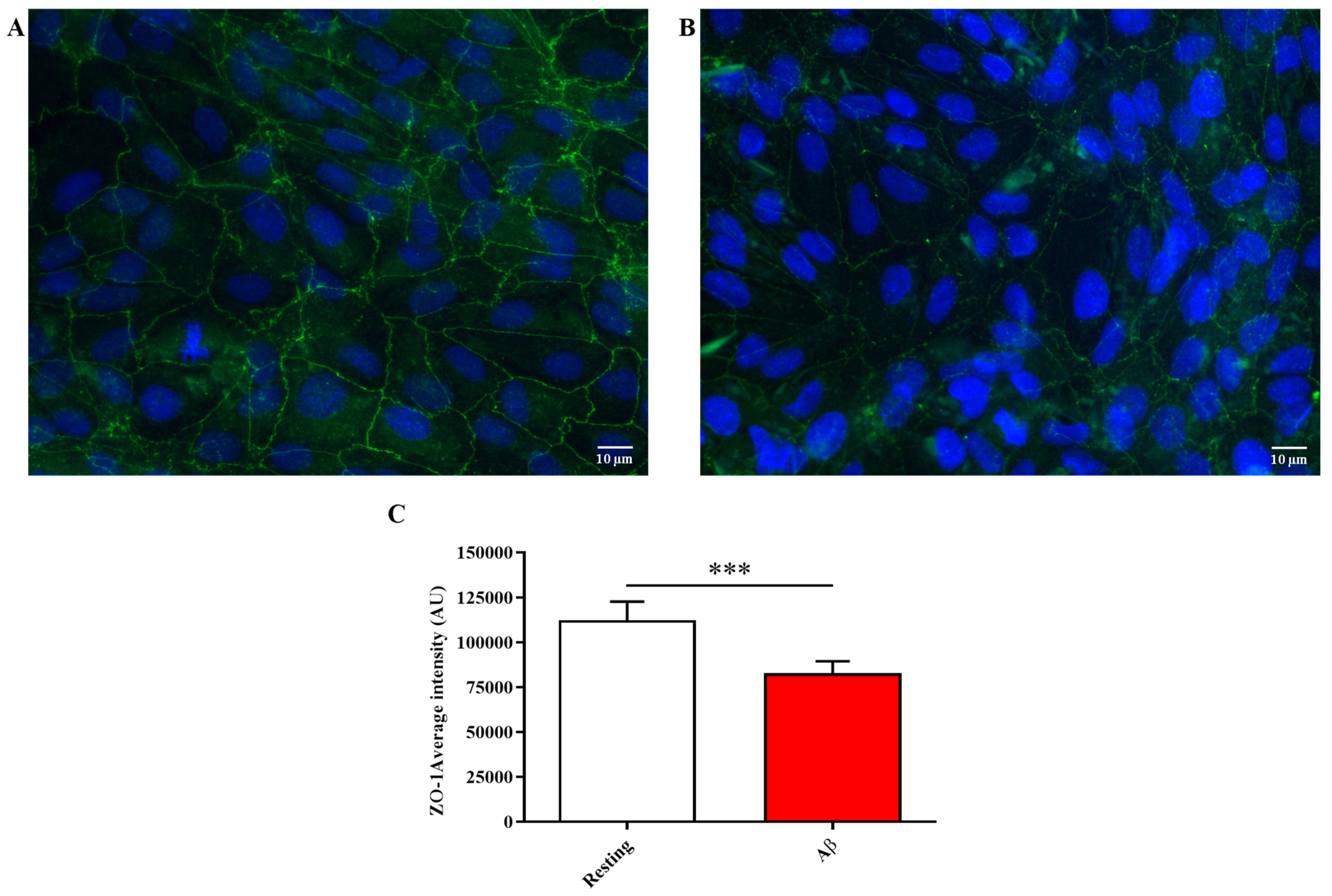 Molecules 28 03324 g003