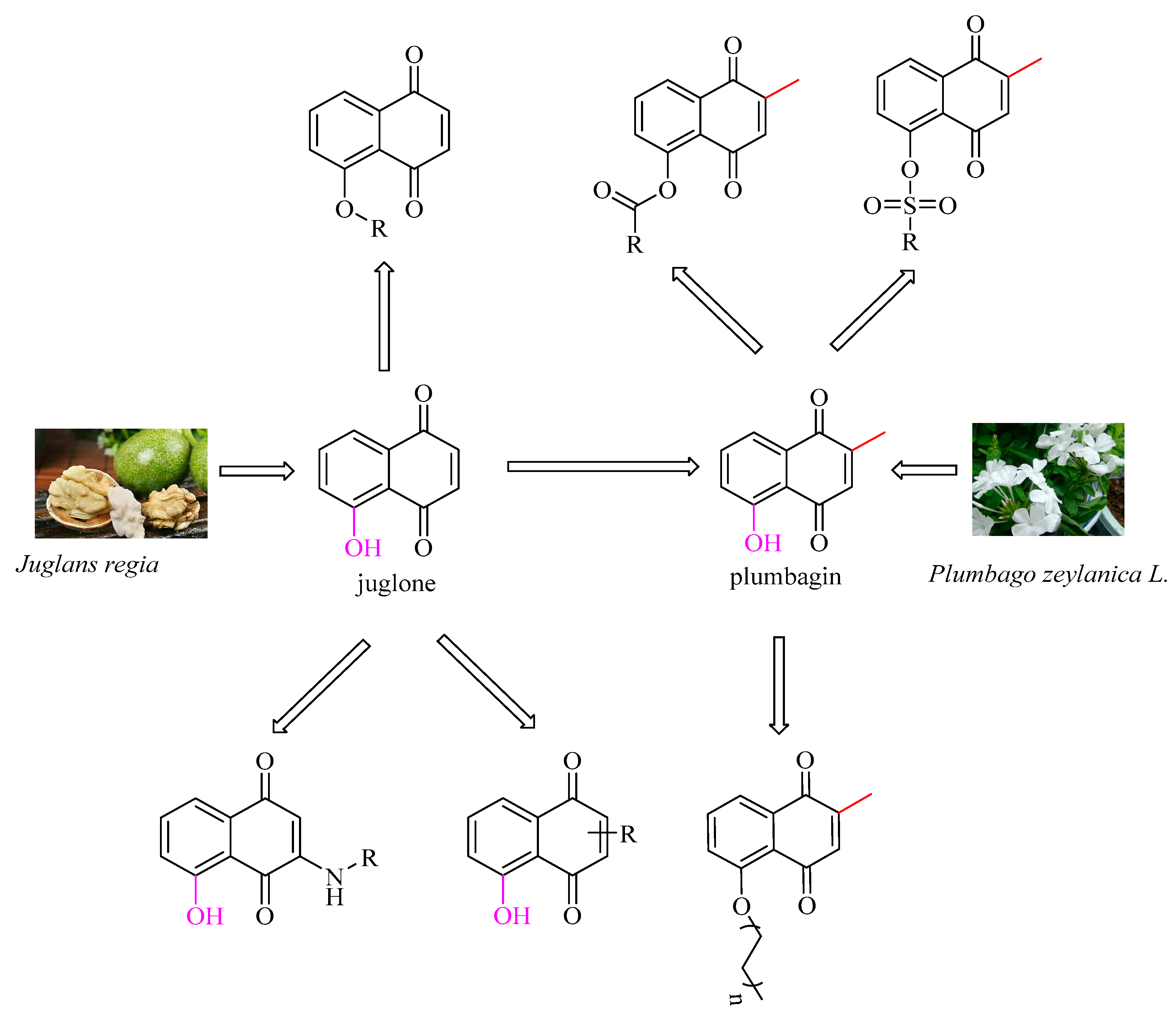 Molecules 28 03328 g001 Molecules 28 03328 g001