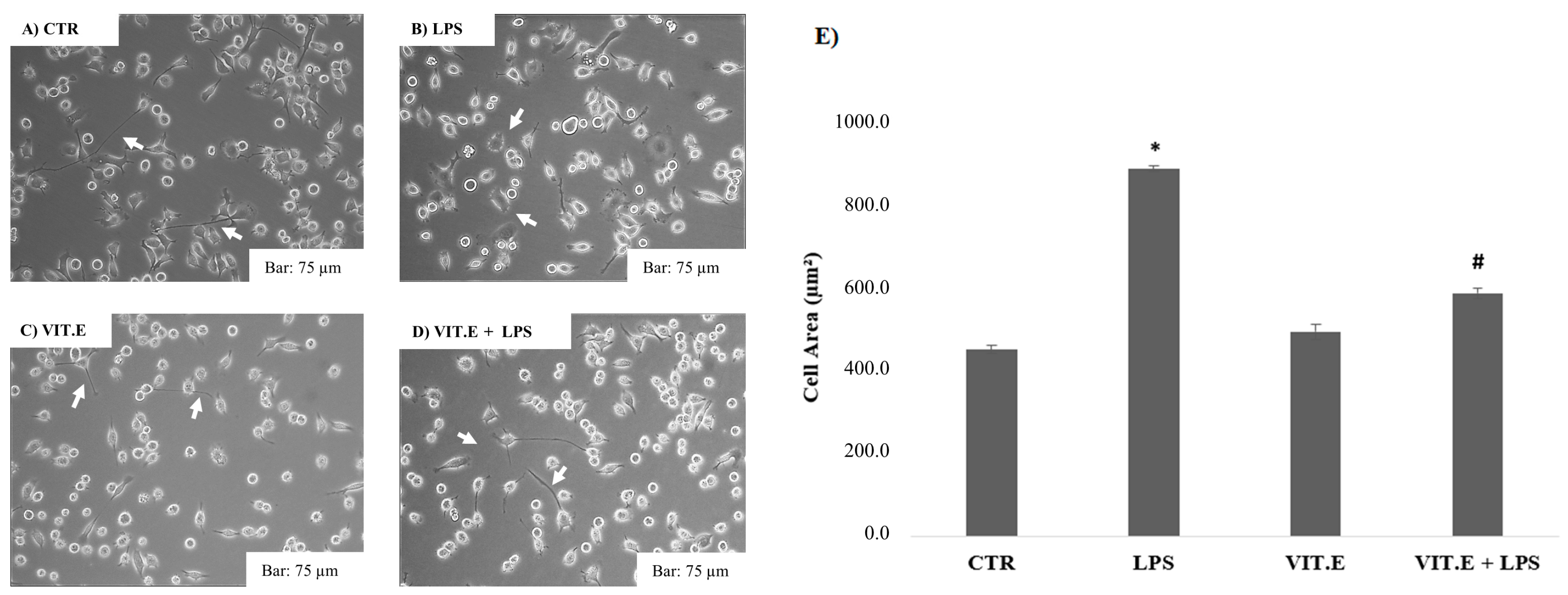 Molecules 28 03340 g002