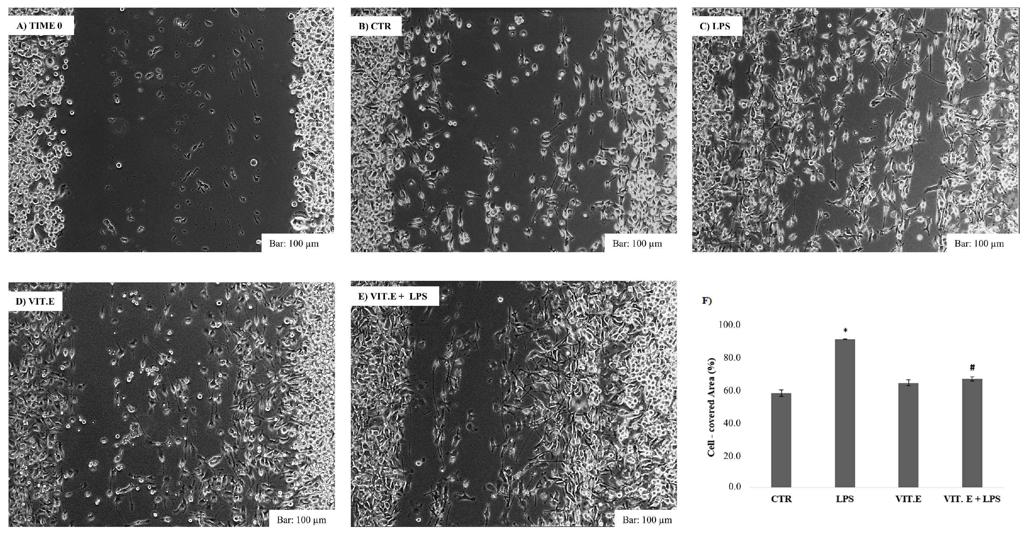 Molecules 28 03340 g003