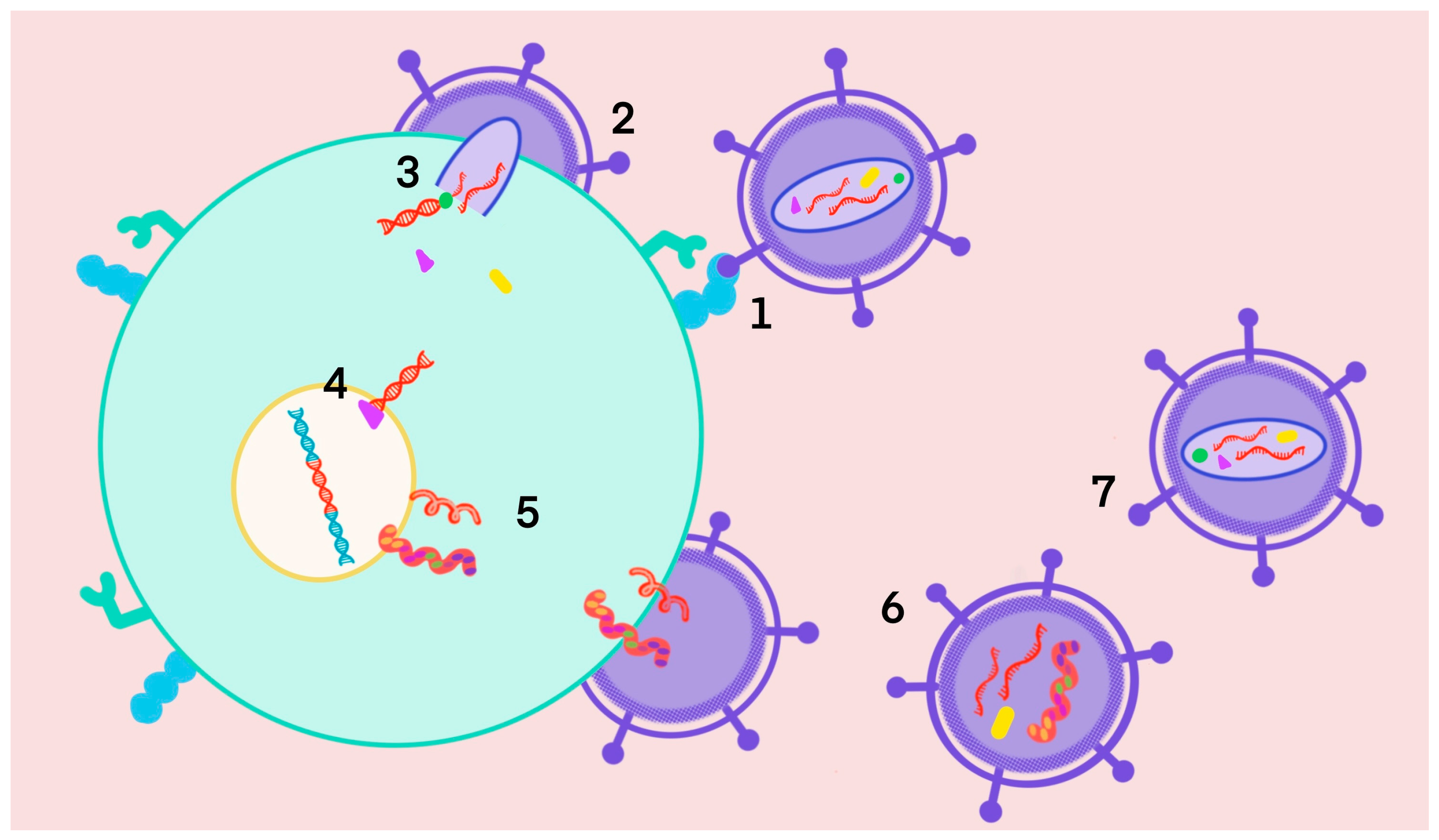 Molecules 28 03342 g001