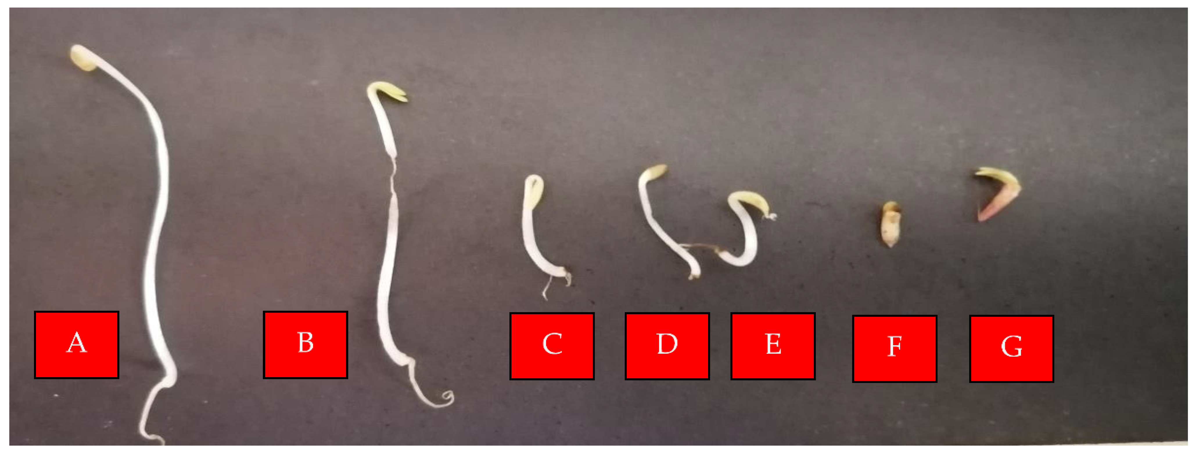 Molecules 28 03348 g001 Molecules 28 03348 g001