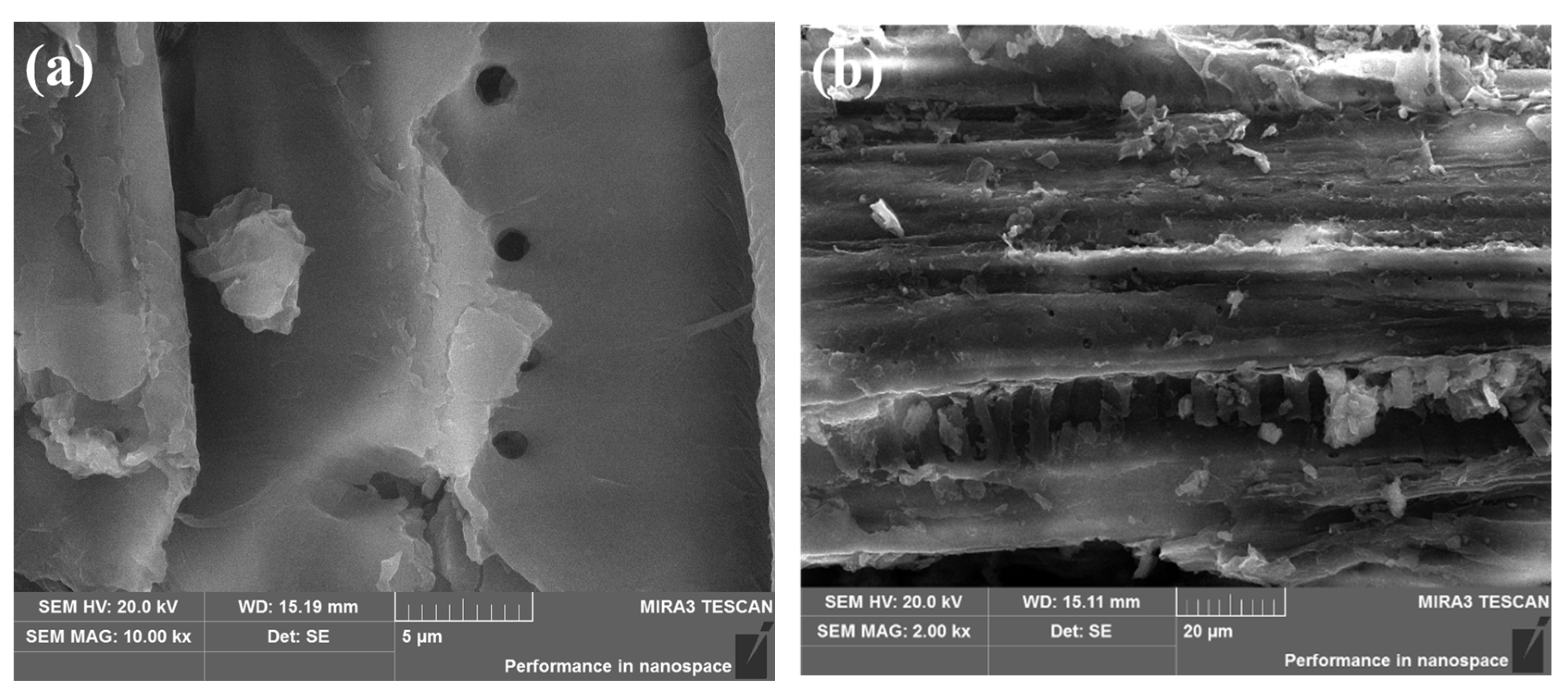 Molecules 28 03353 g001 Molecules 28 03353 g001