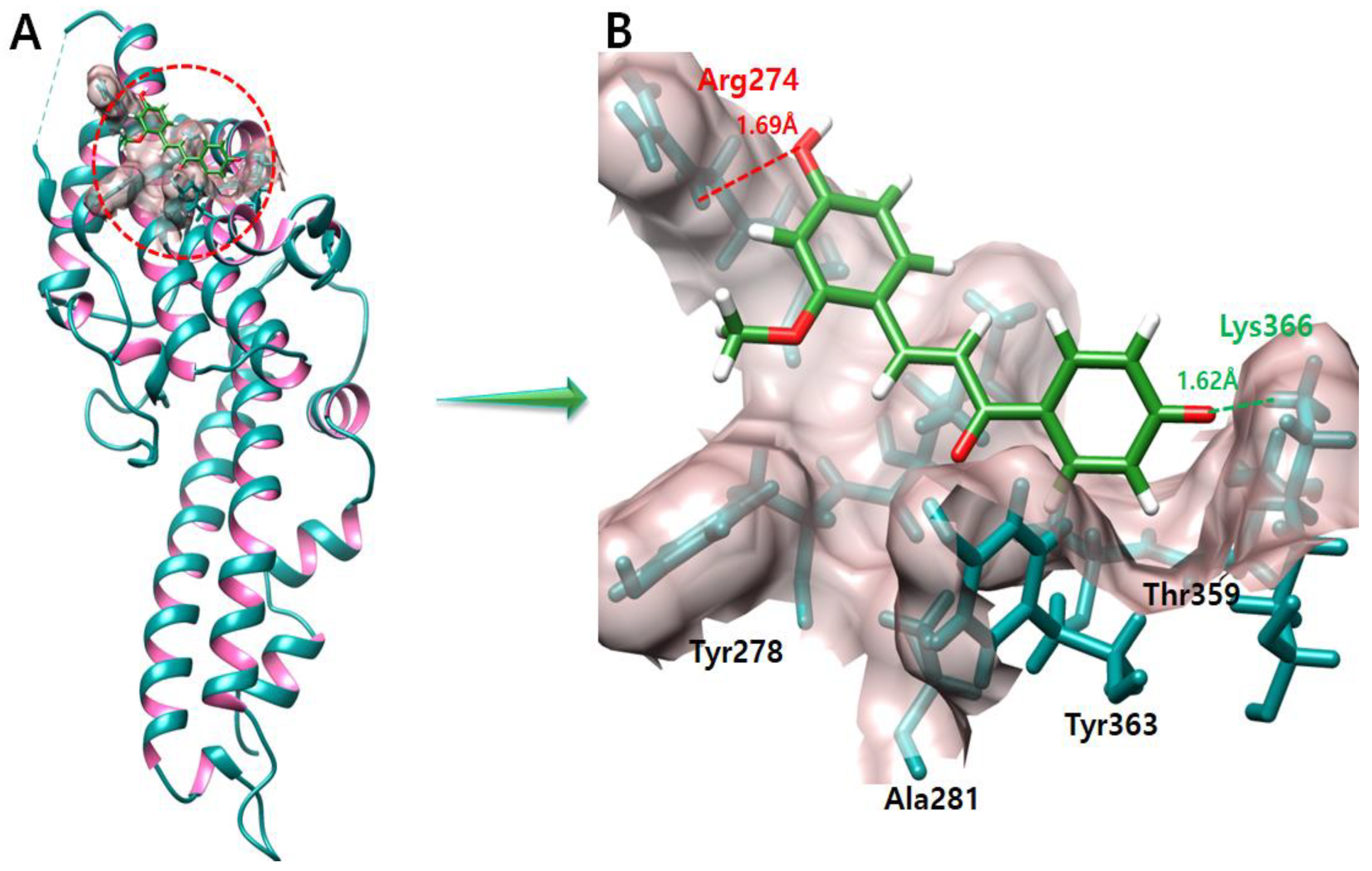 Molecules 28 03358 g006