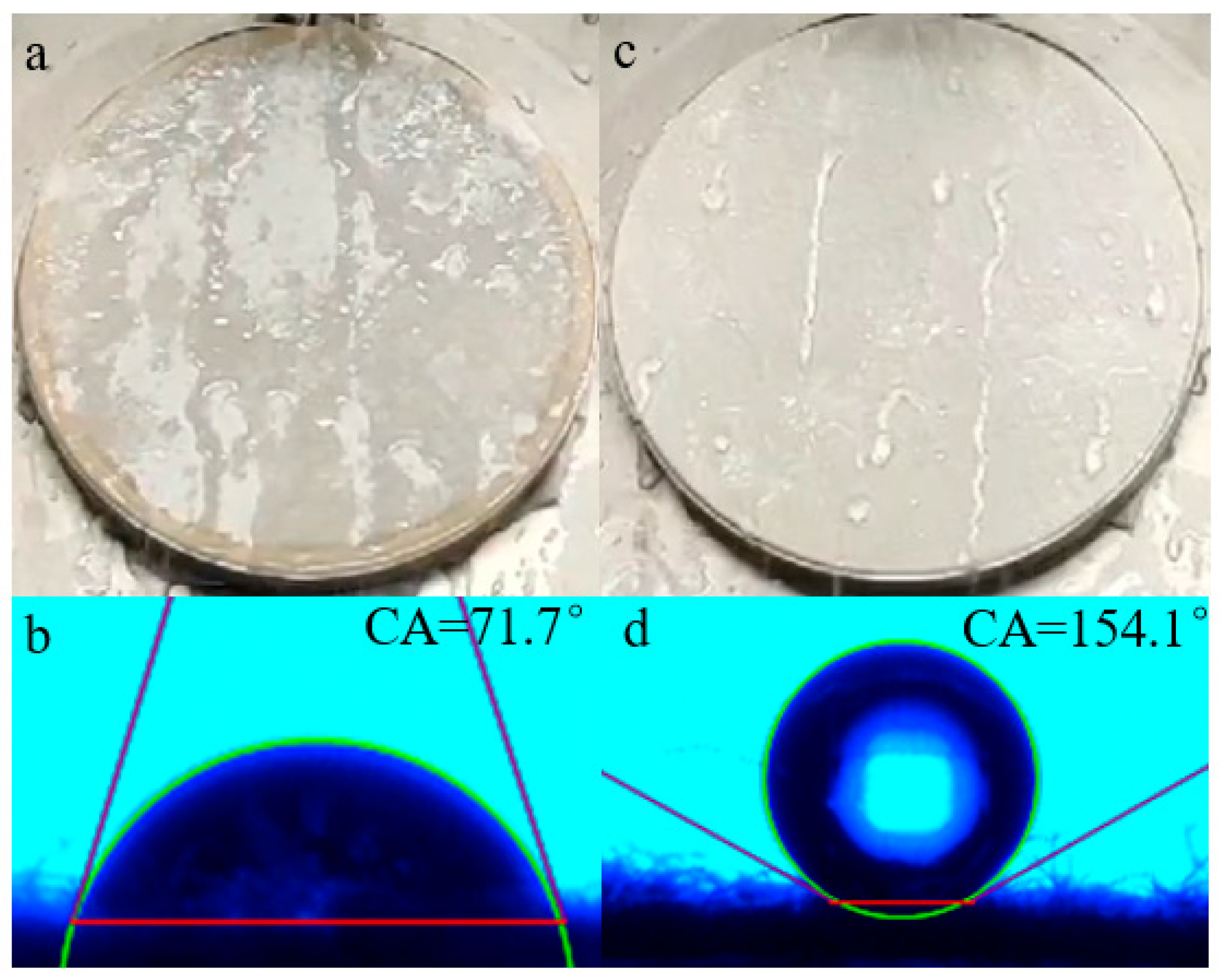 Molecules 28 03369 g013