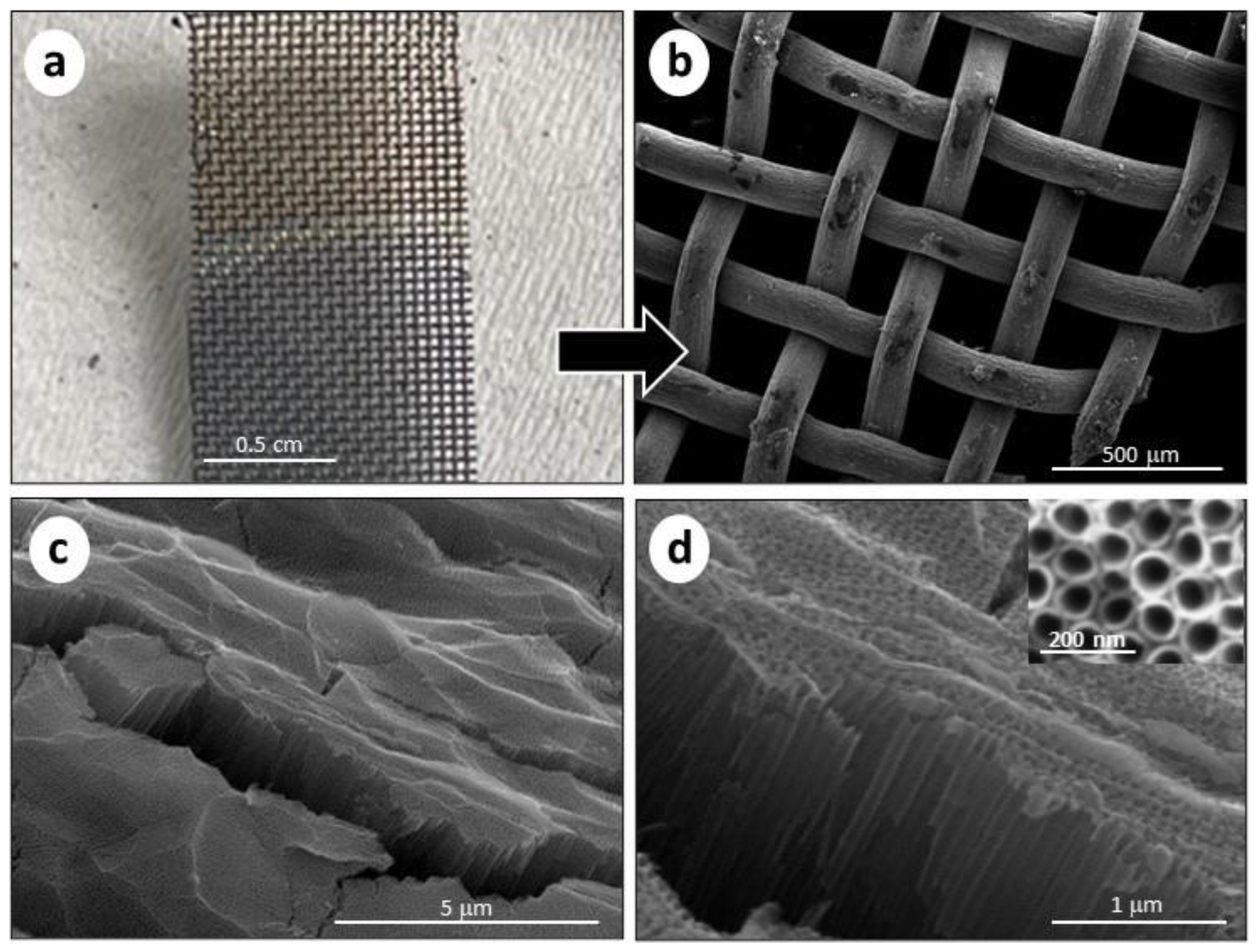 Molecules 28 03378 g001