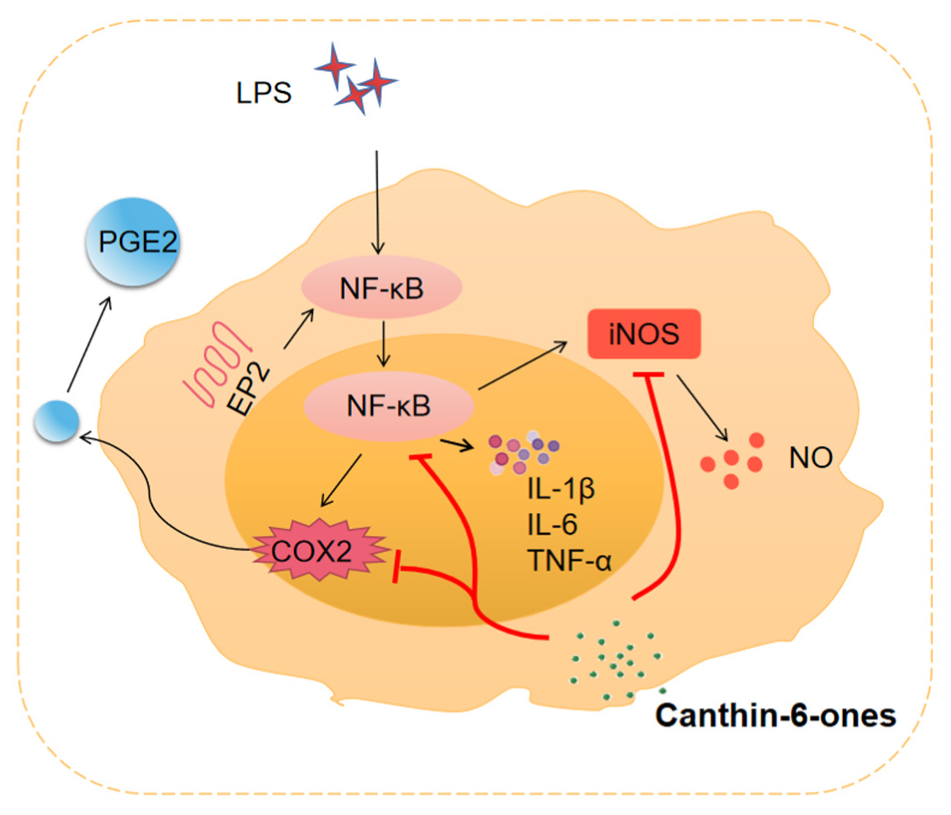 Molecules 28 03381 g003