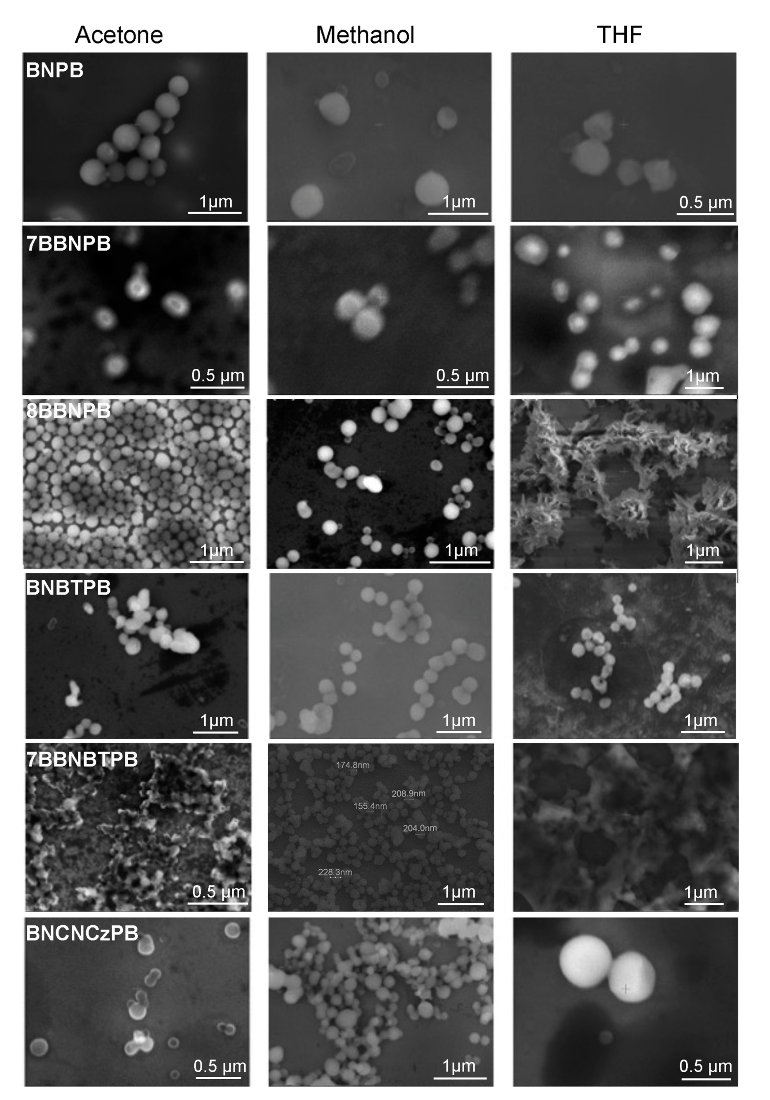 Molecules 28 03382 g002
