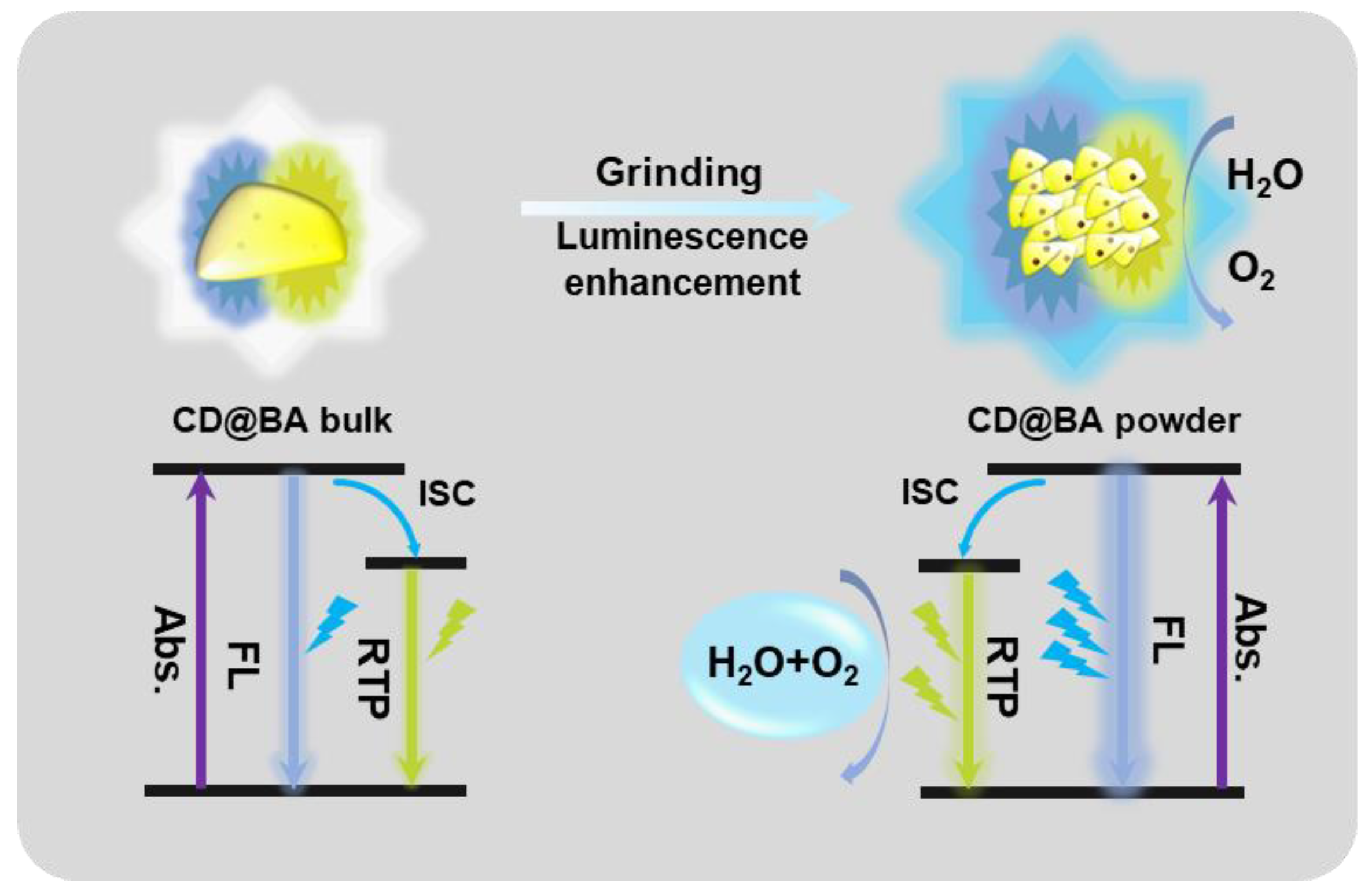 Molecules 28 03388 g004 Molecules 28 03388 g004