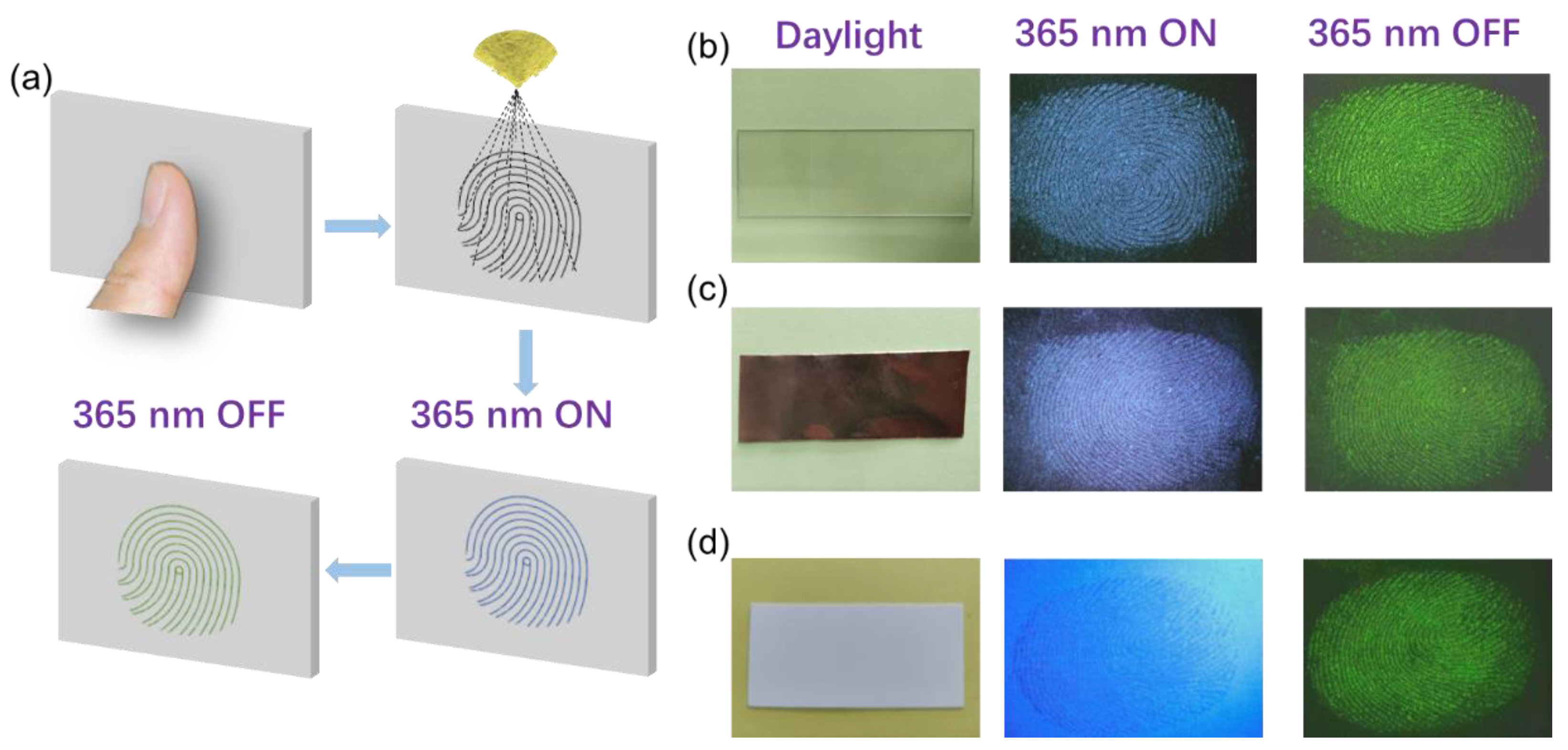 Molecules 28 03388 g005 Molecules 28 03388 g005